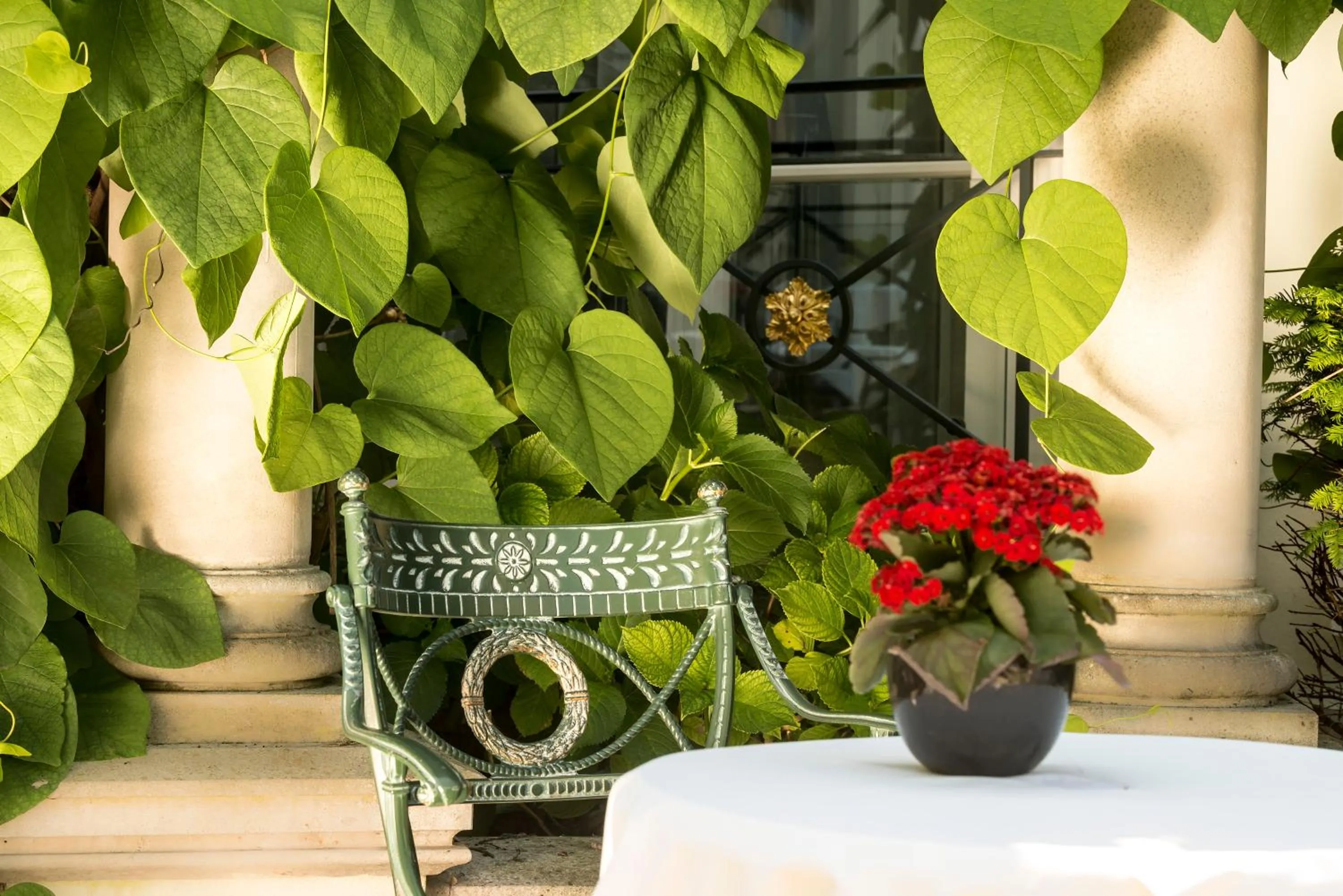 Balcony/Terrace in Hotel Am Jägertor
