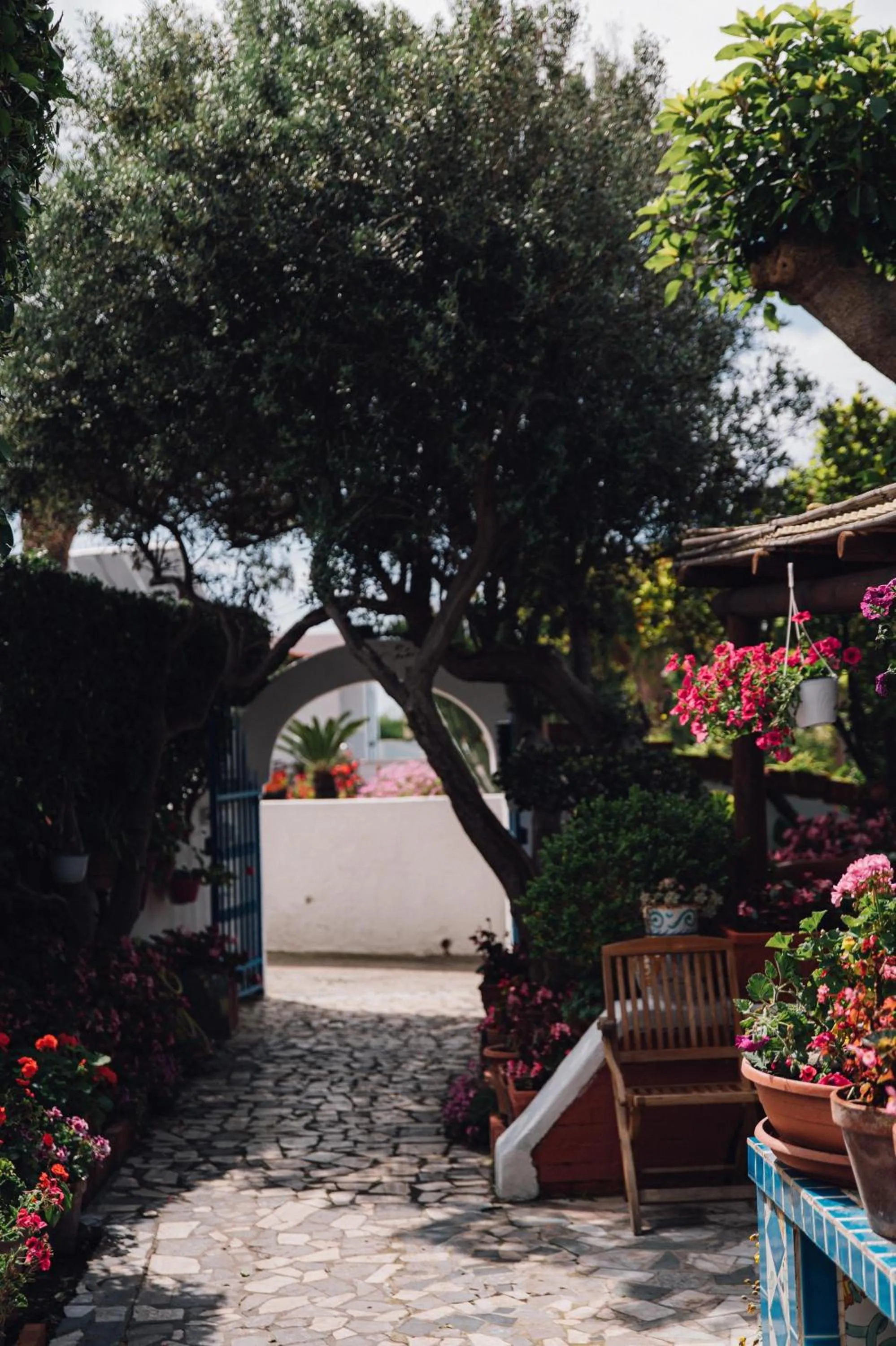 Garden in Hotel Villa Maria
