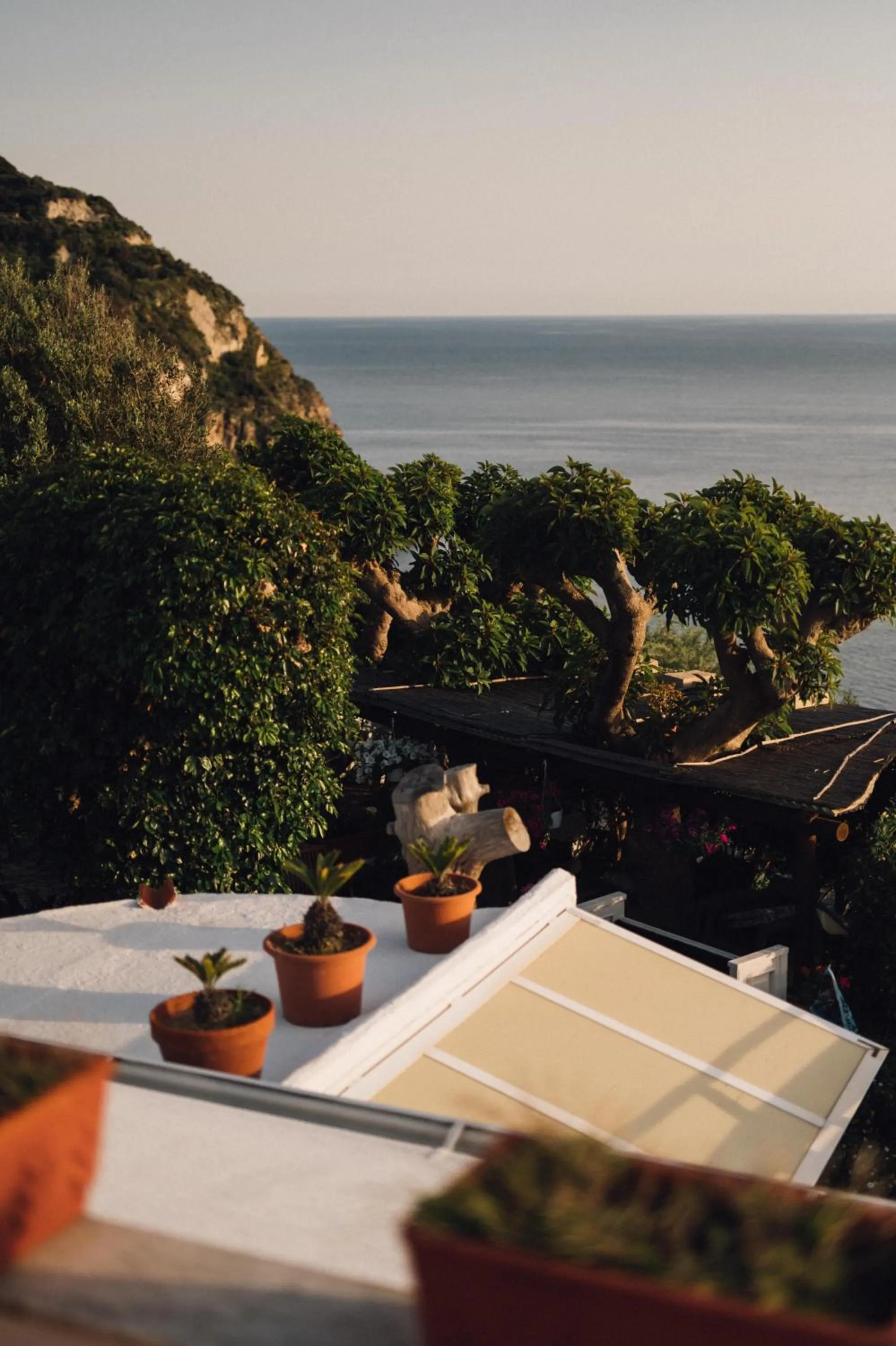 View (from property/room) in Hotel Villa Maria