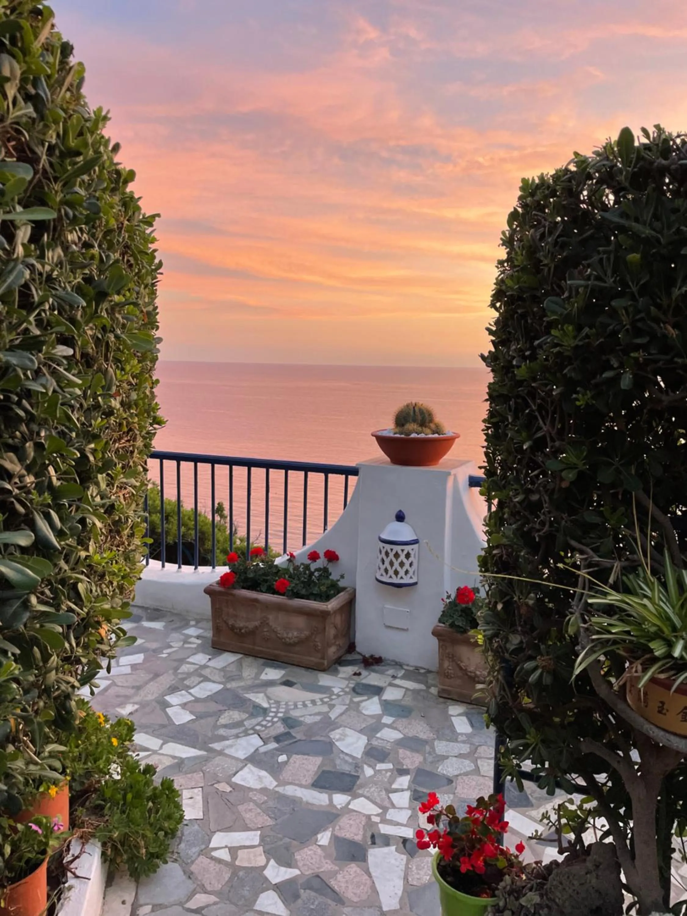 Balcony/Terrace in Hotel Villa Maria