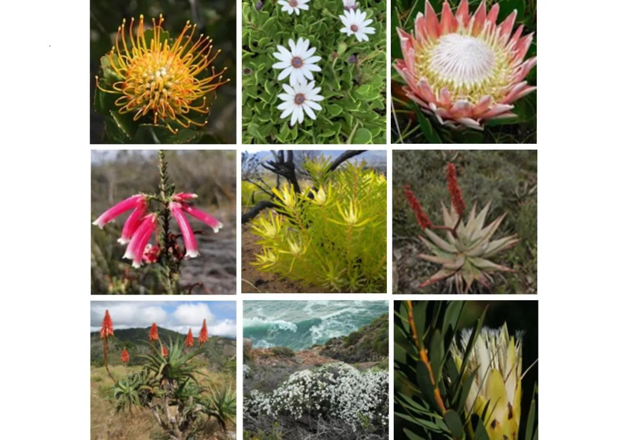 Other in Erika27 Top B&B Choice