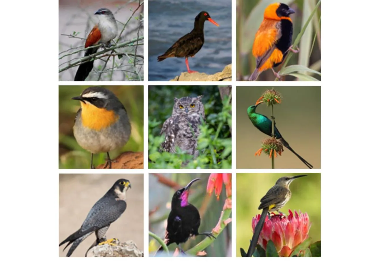 Activities in Erika27 Top B&B Choice