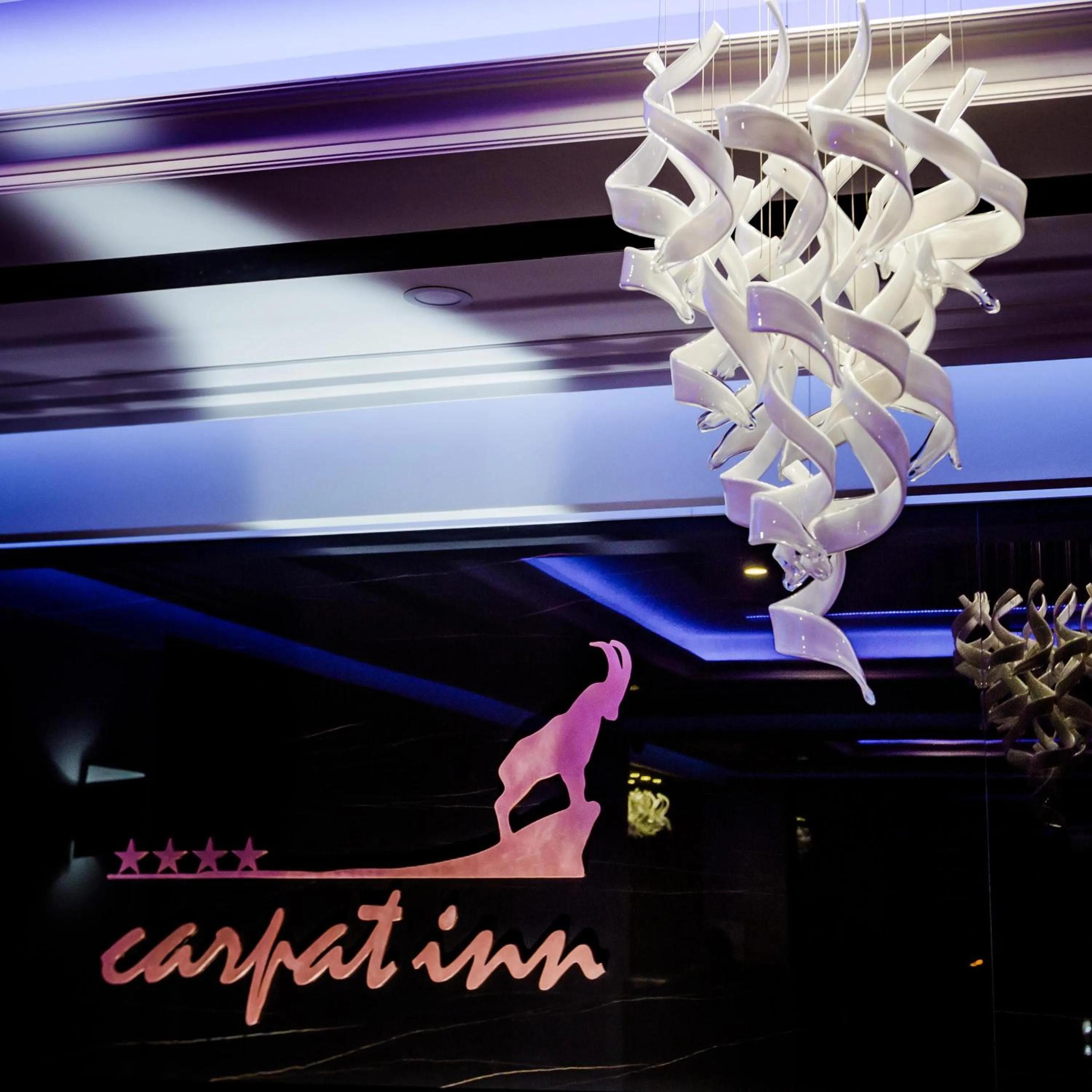 Property logo or sign in HOTEL CARPAT INN