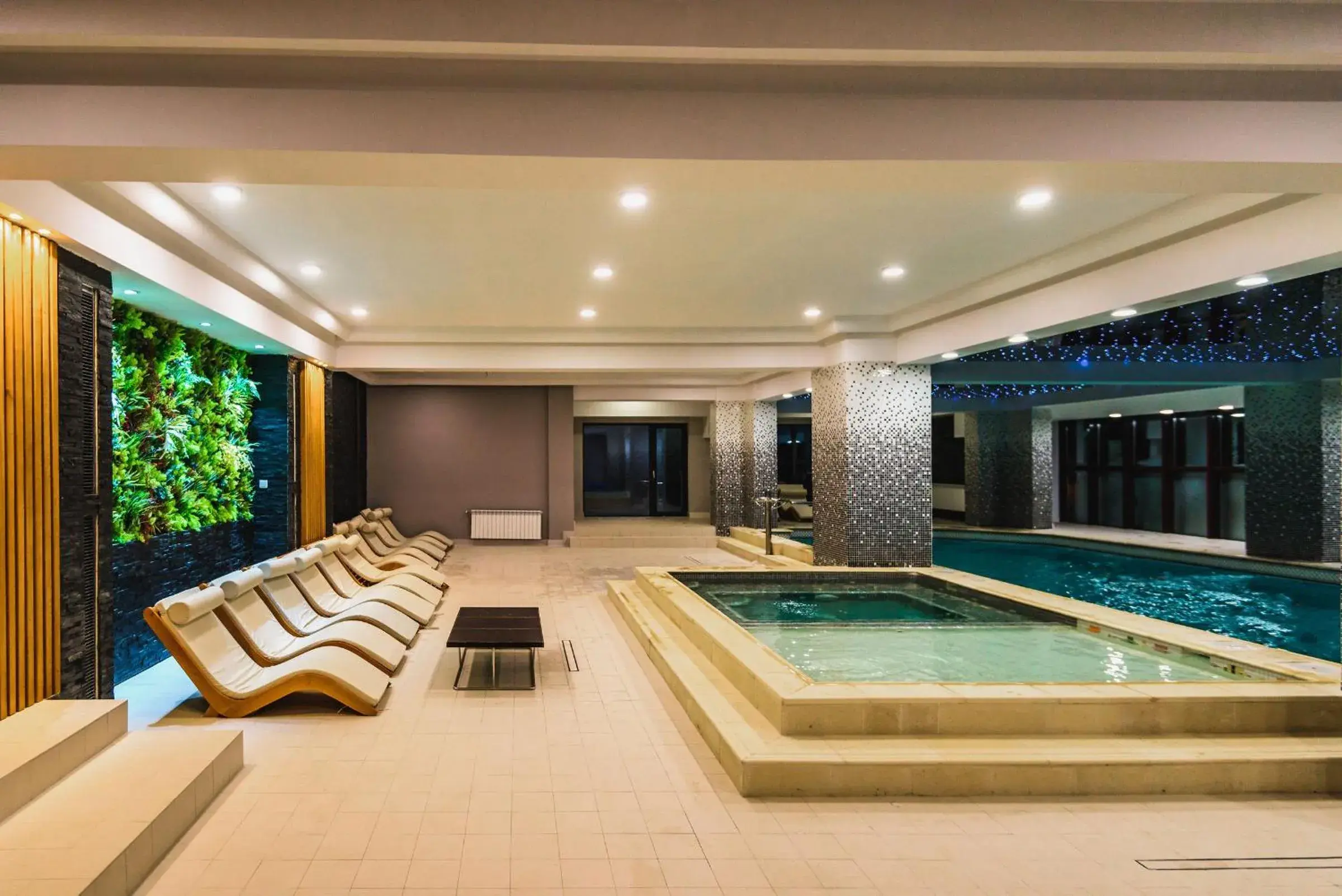 Swimming pool in HOTEL CARPAT INN Swimming pool in HOTEL CARPAT INN