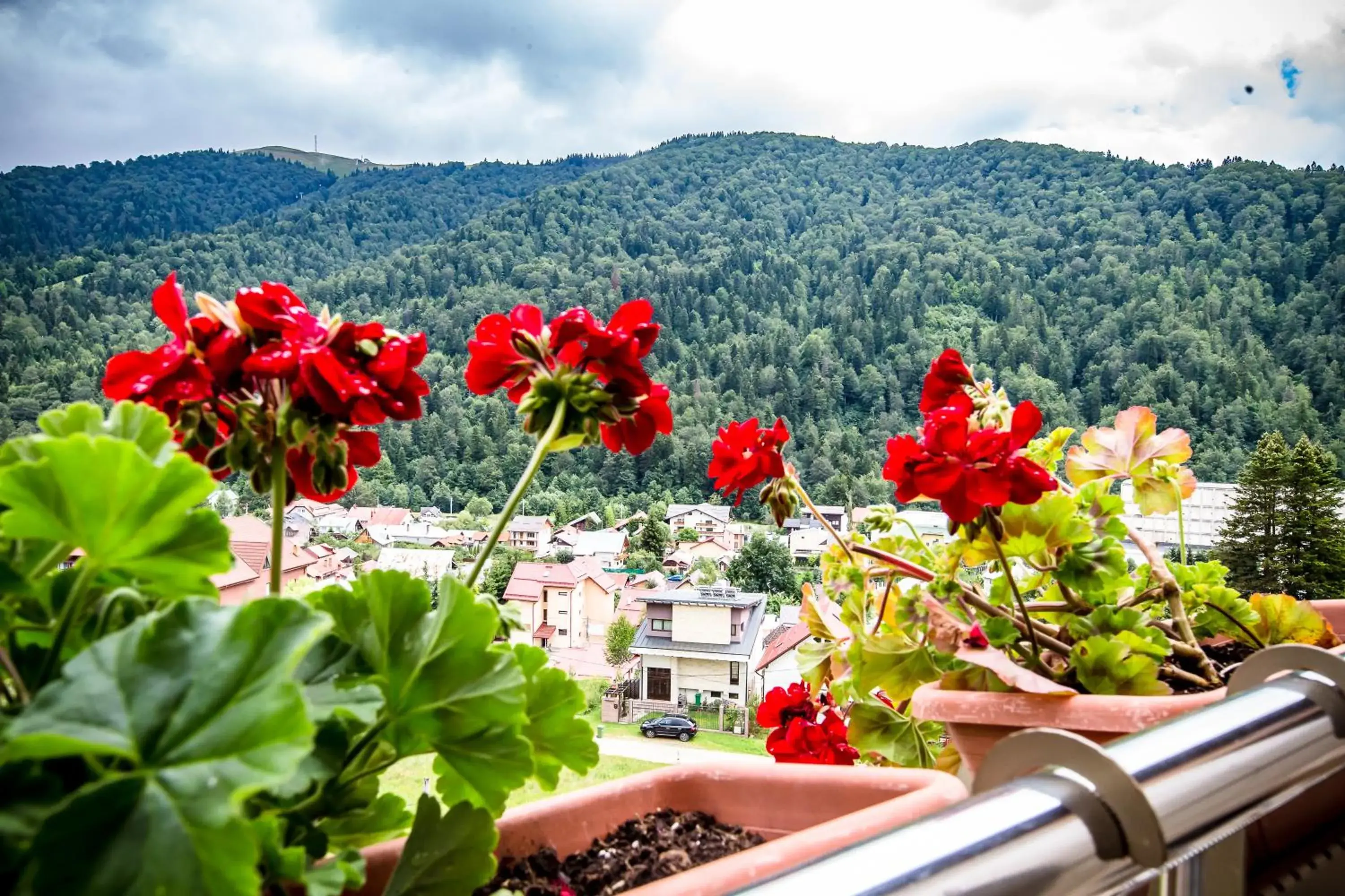 Apartment - Split Level in HOTEL CARPAT INN Apartment - Split Level in HOTEL CARPAT INN