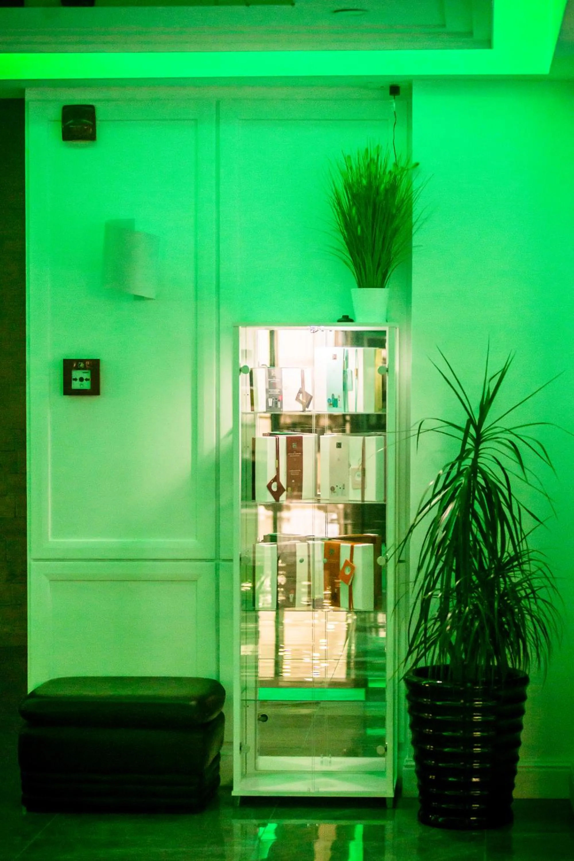 Lobby or reception in HOTEL CARPAT INN