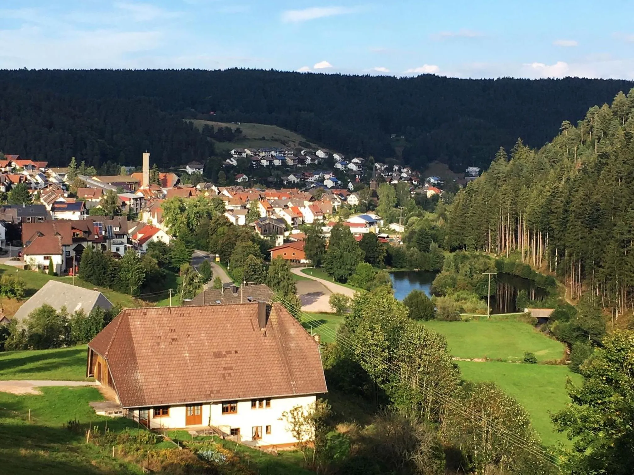 Neighbourhood in Schwarzwaldgasthaus Linde