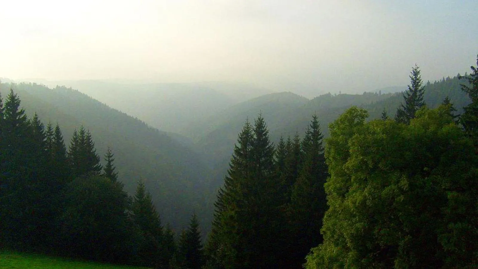 Natural landscape in Schwarzwaldgasthaus Linde
