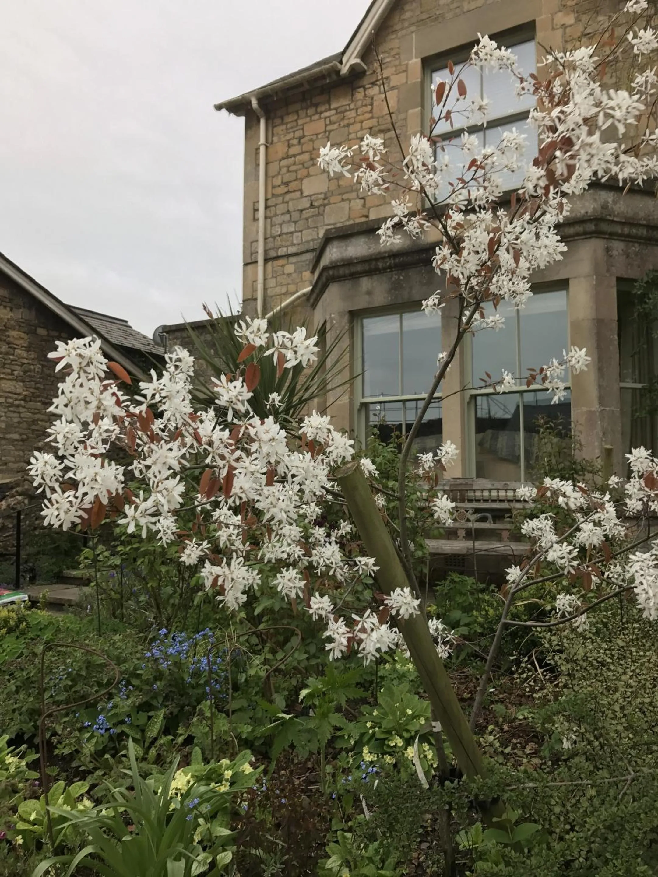 View (from property/room) in Turks Hall