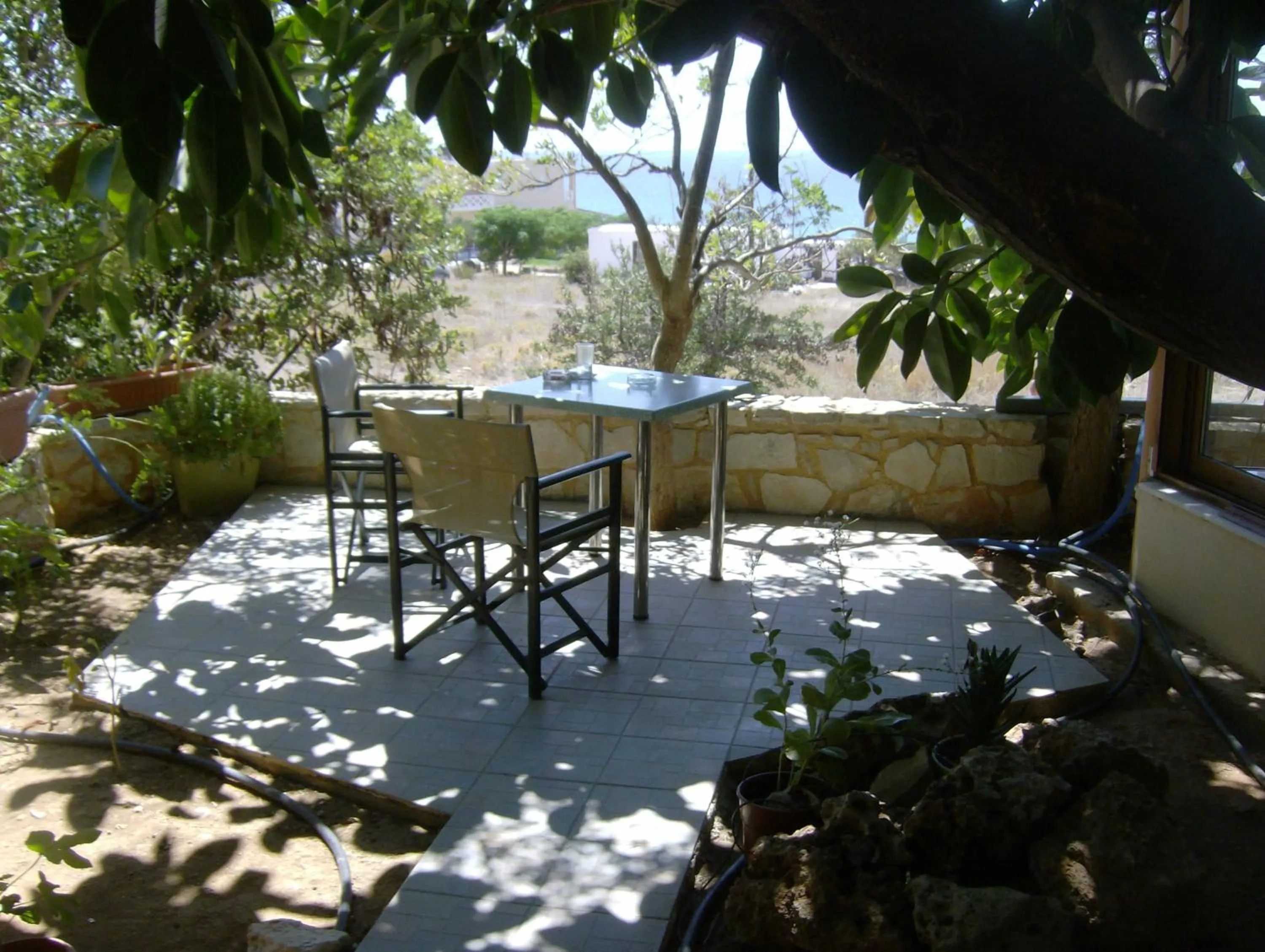 Garden in Aqua Marine