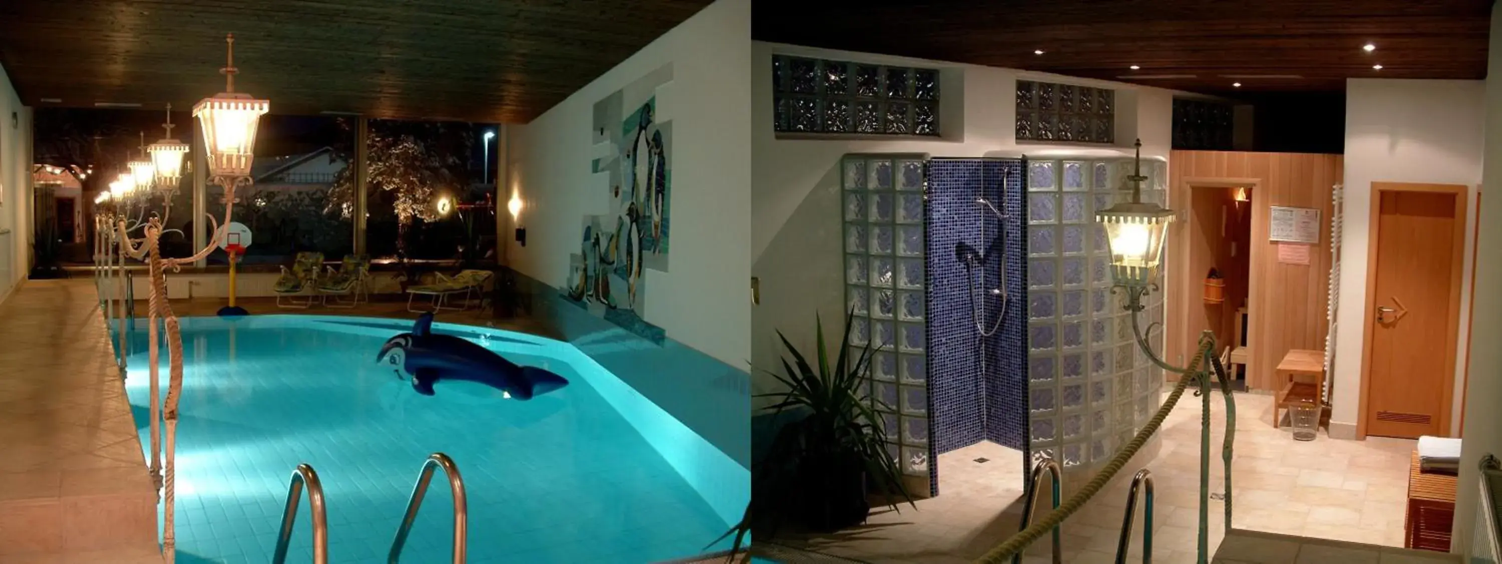 Sauna, Swimming Pool in Hotel Roter Hahn - Bed & Breakfast