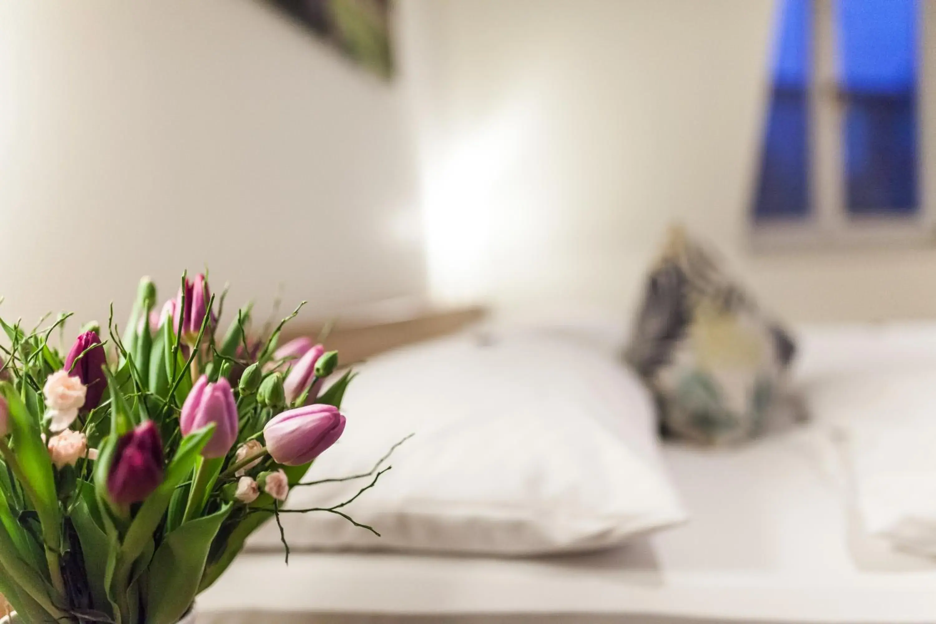 Photo of the whole room, Bed in martas Hotel Allegra Berlin Photo of the whole room, Bed in martas Hotel Allegra Berlin