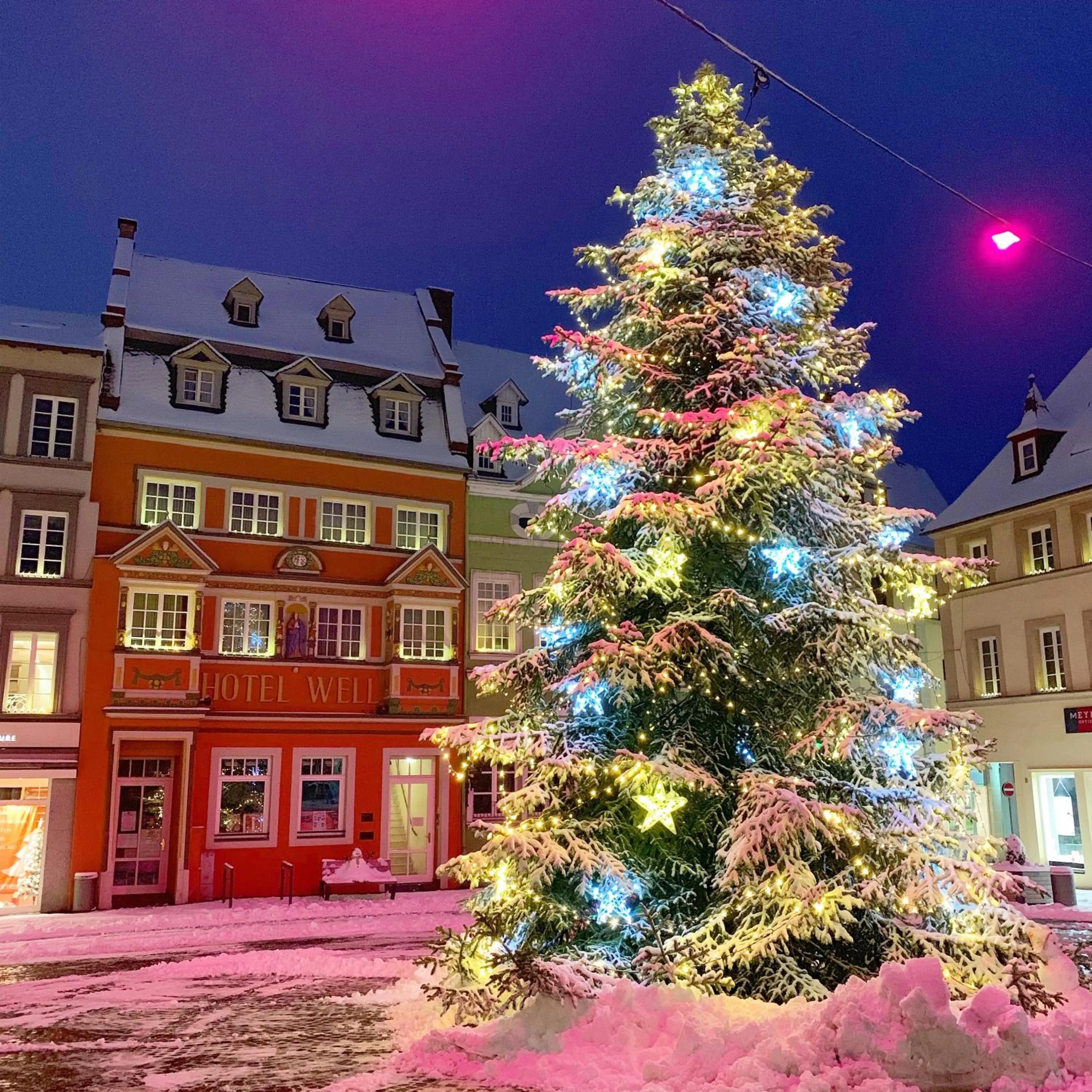 Facade/entrance in Hotel Well Garni