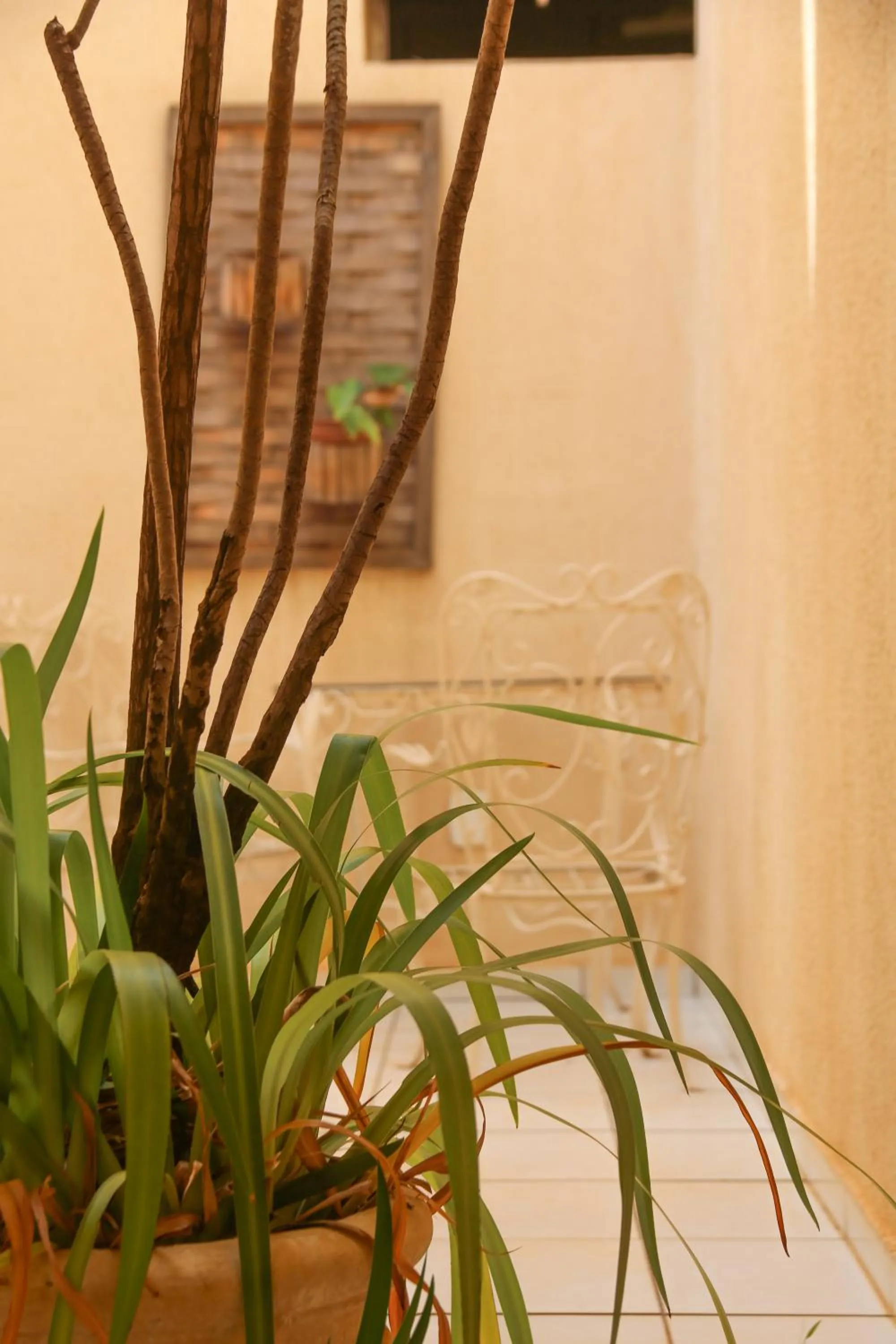 Other in Pousada Água Eterna