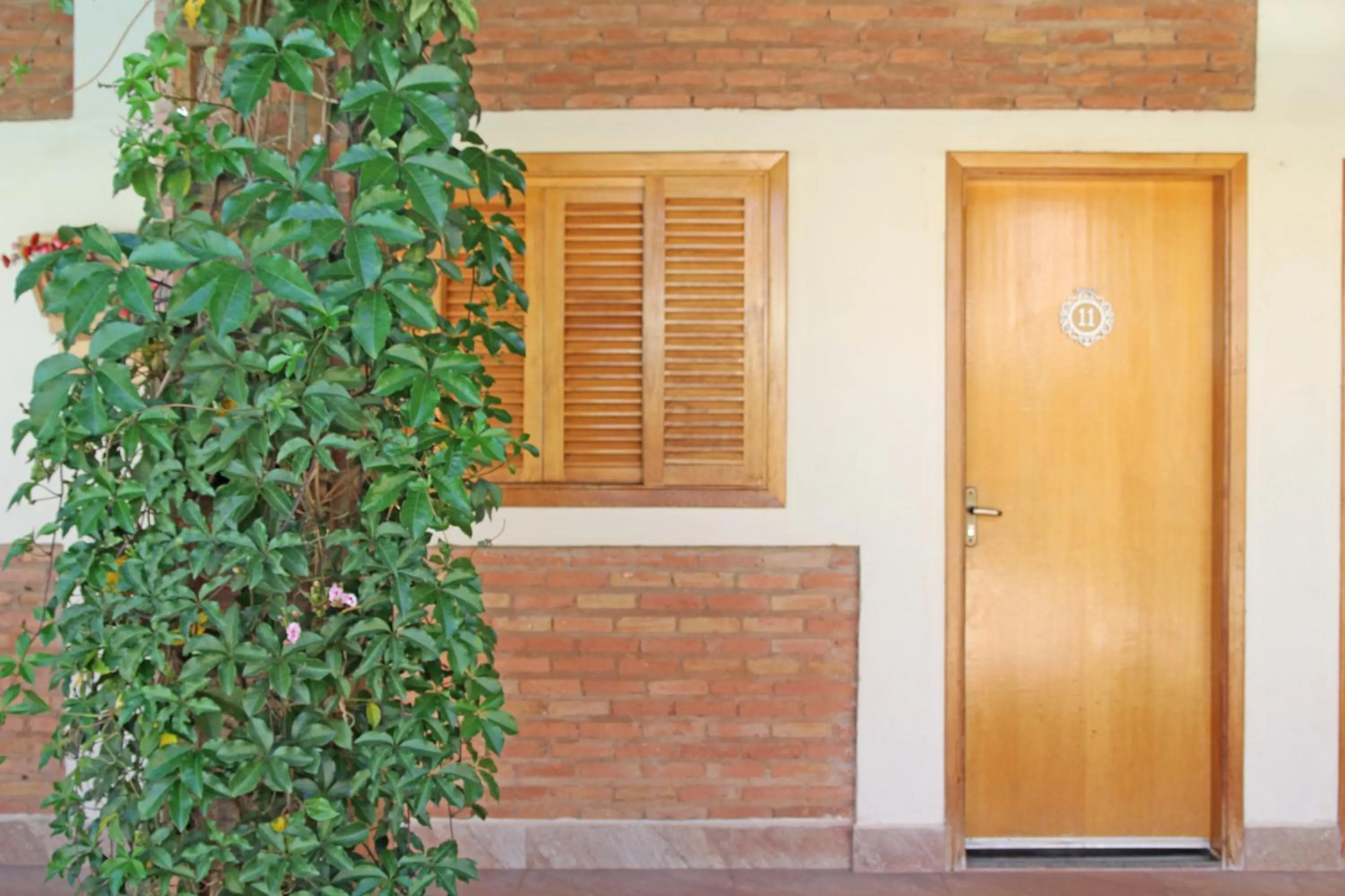 Garden in Pousada Faruk