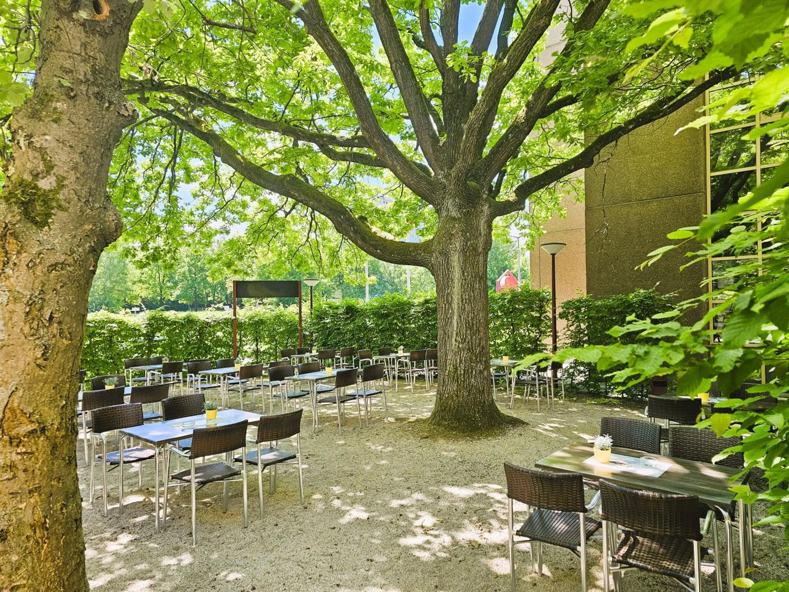 Garden view in Arvena Park Hotel Garden view in Arvena Park Hotel