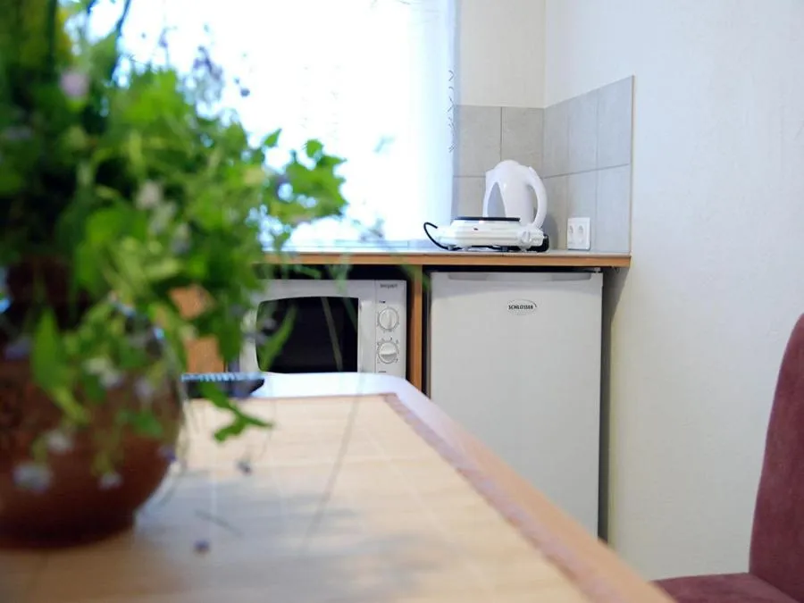 Kitchen or kitchenette in Beluga