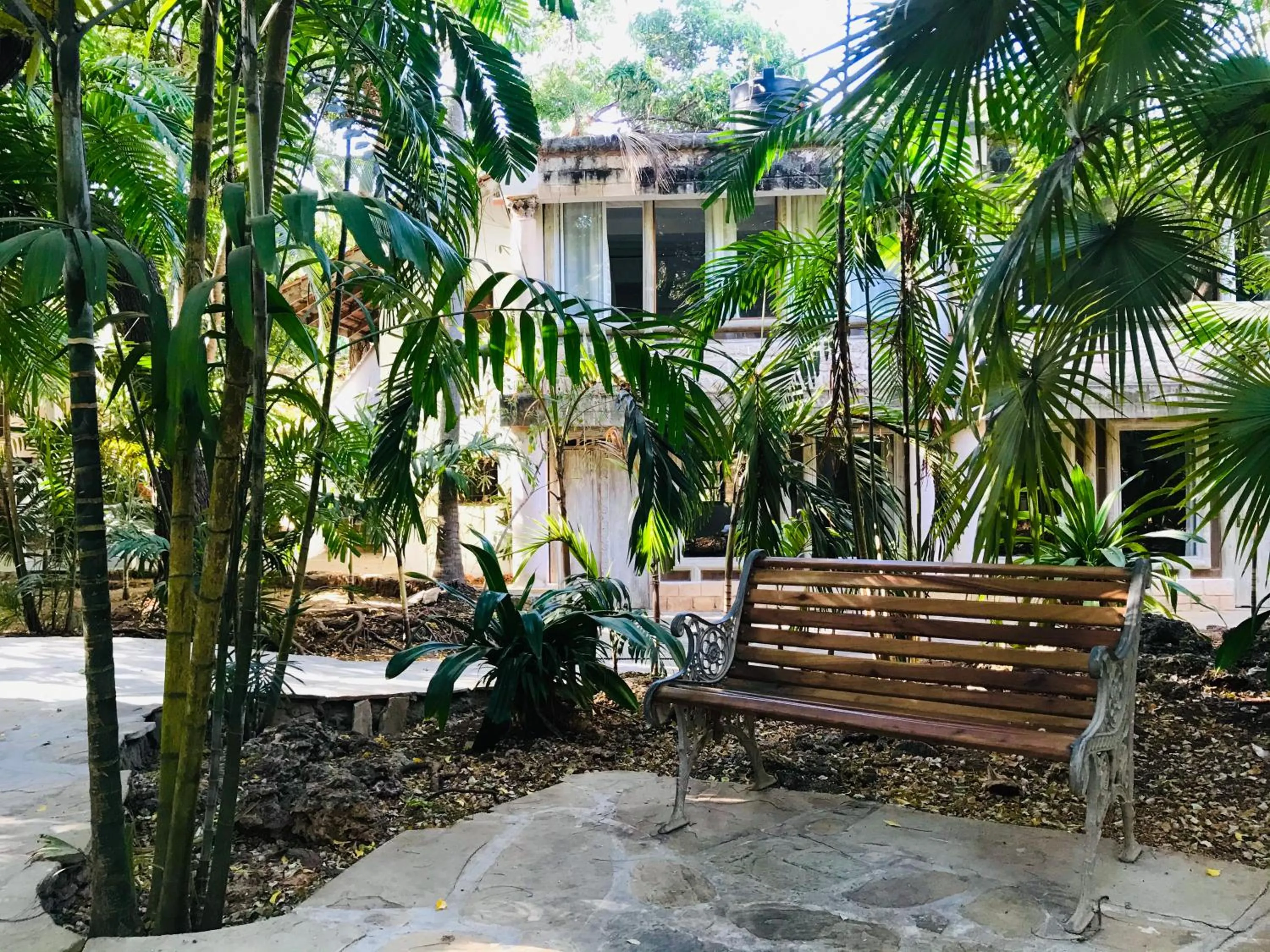 Day in White Elephant Sea Lodge