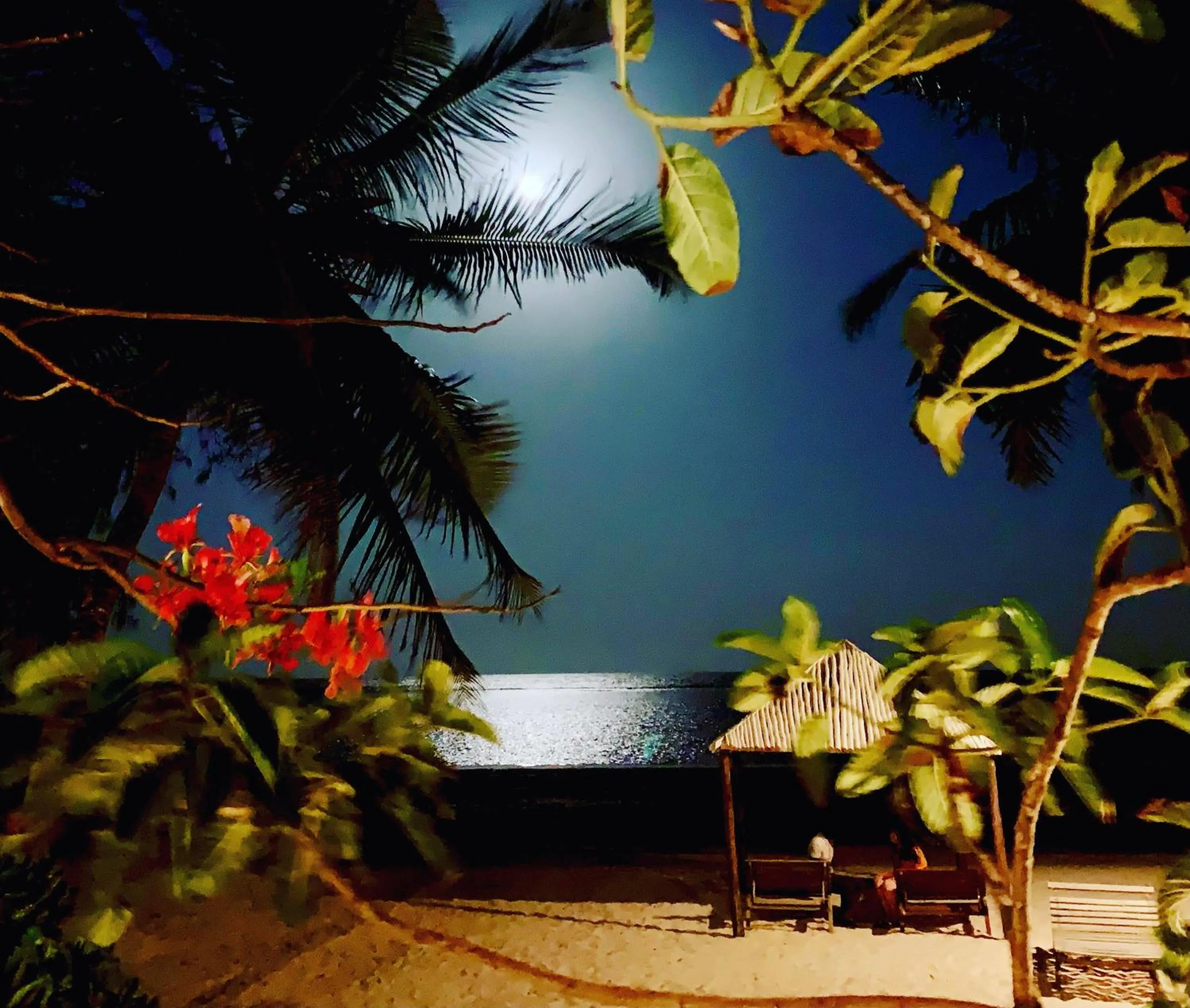 Night in White Elephant Sea Lodge