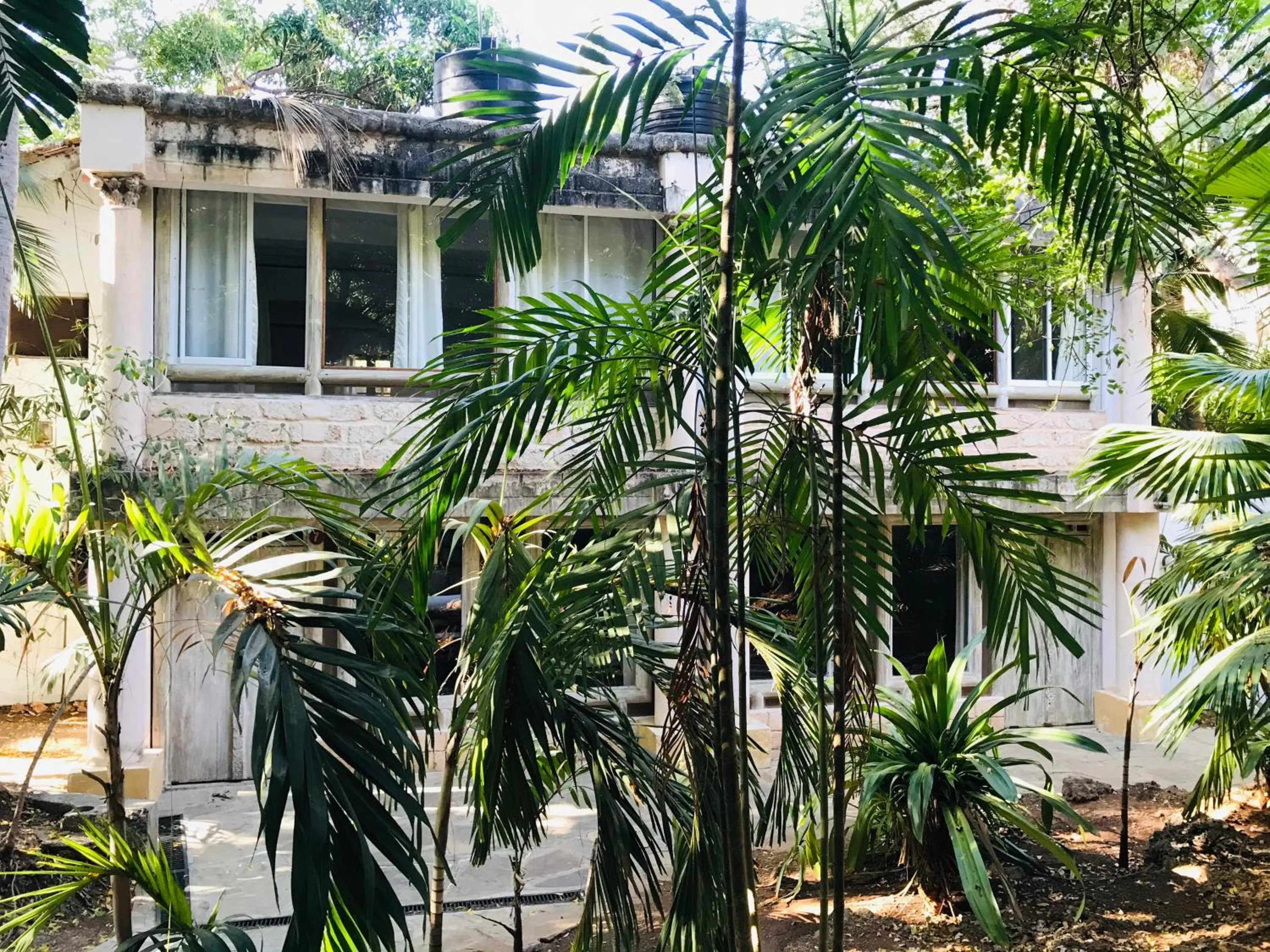 Garden view in White Elephant Sea Lodge