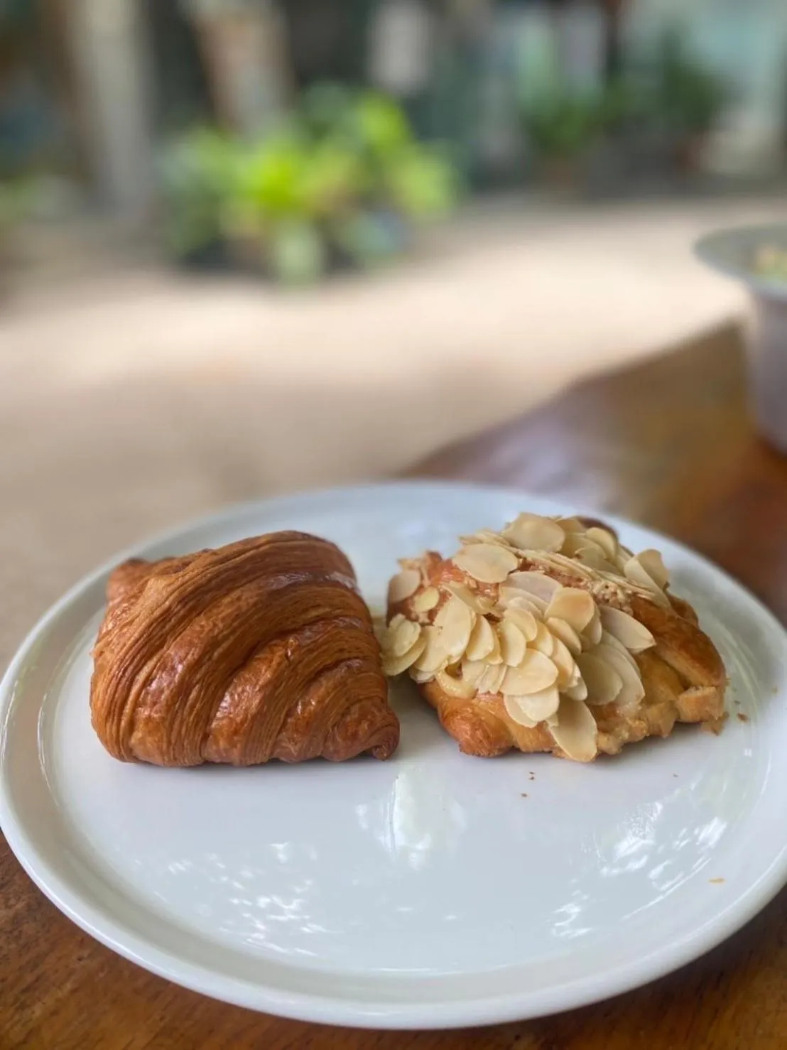 Araya Boutique Hotel