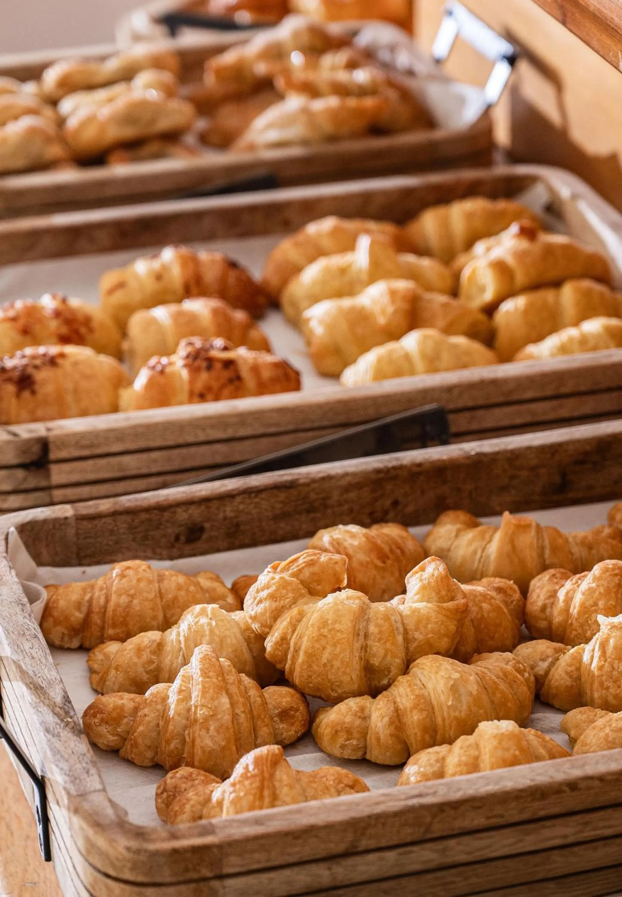 Parque Hotel Jean Clevers