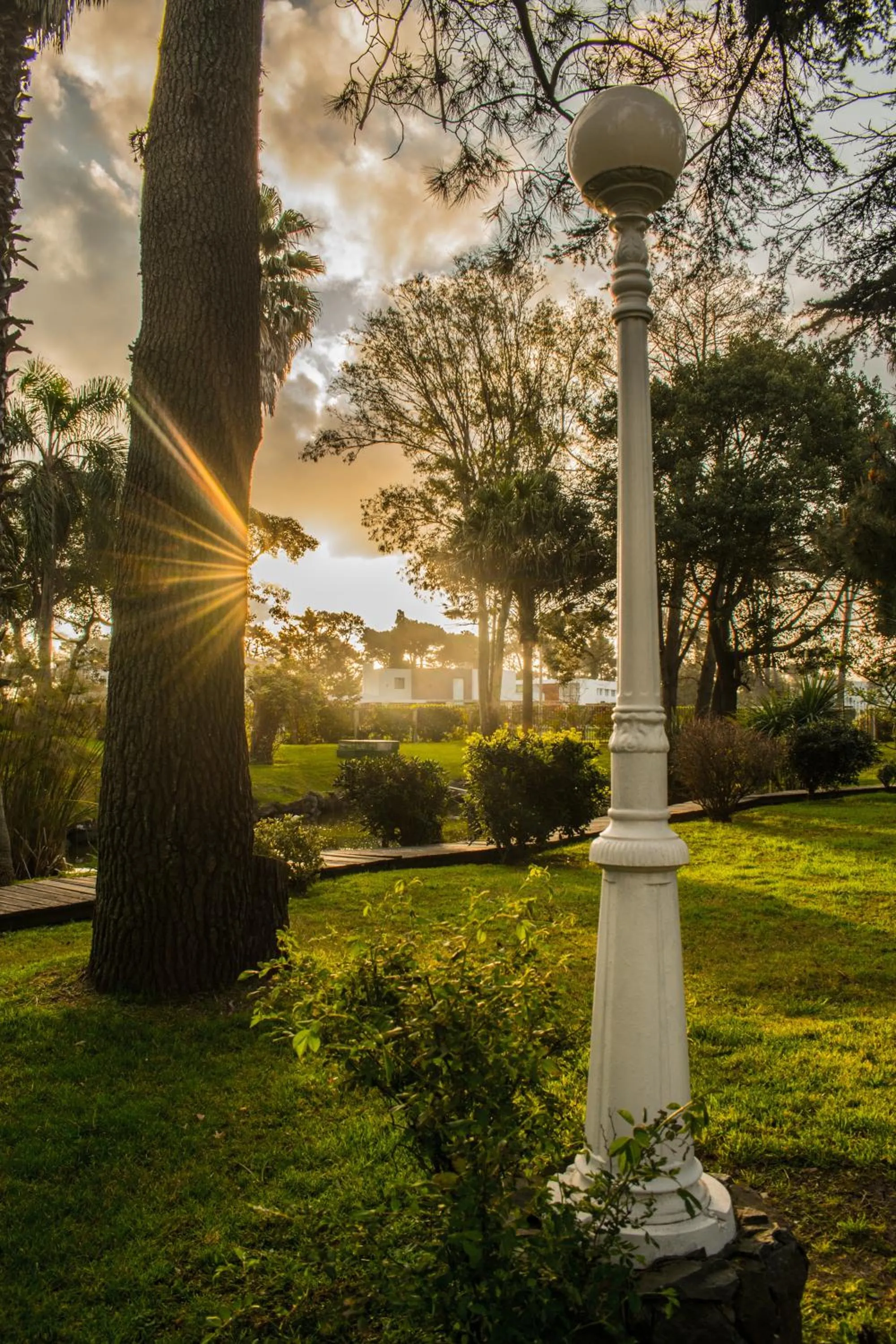 Garden in Parque Hotel Jean Clevers