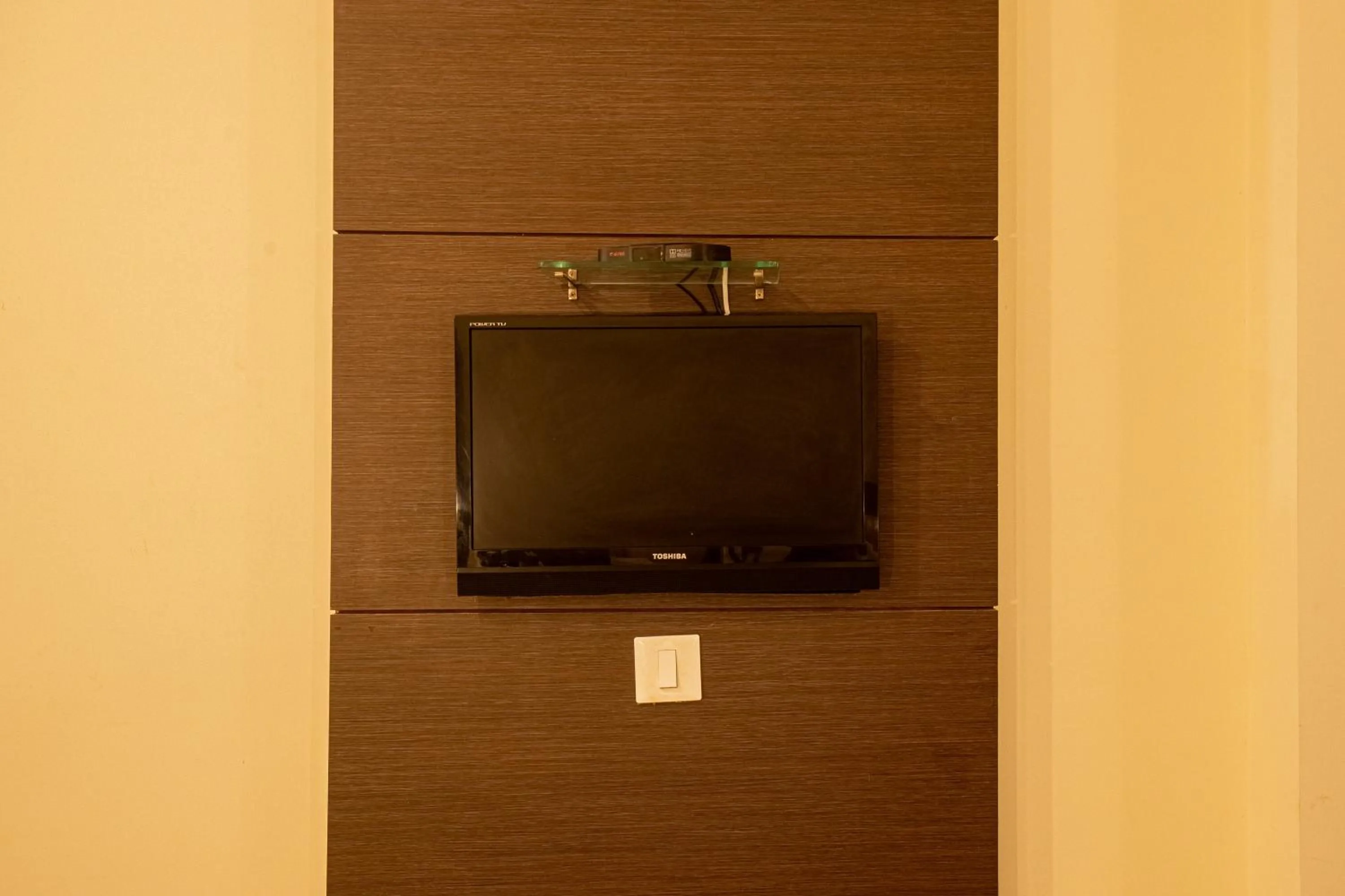 TV and multimedia in Sri Krishna Palace