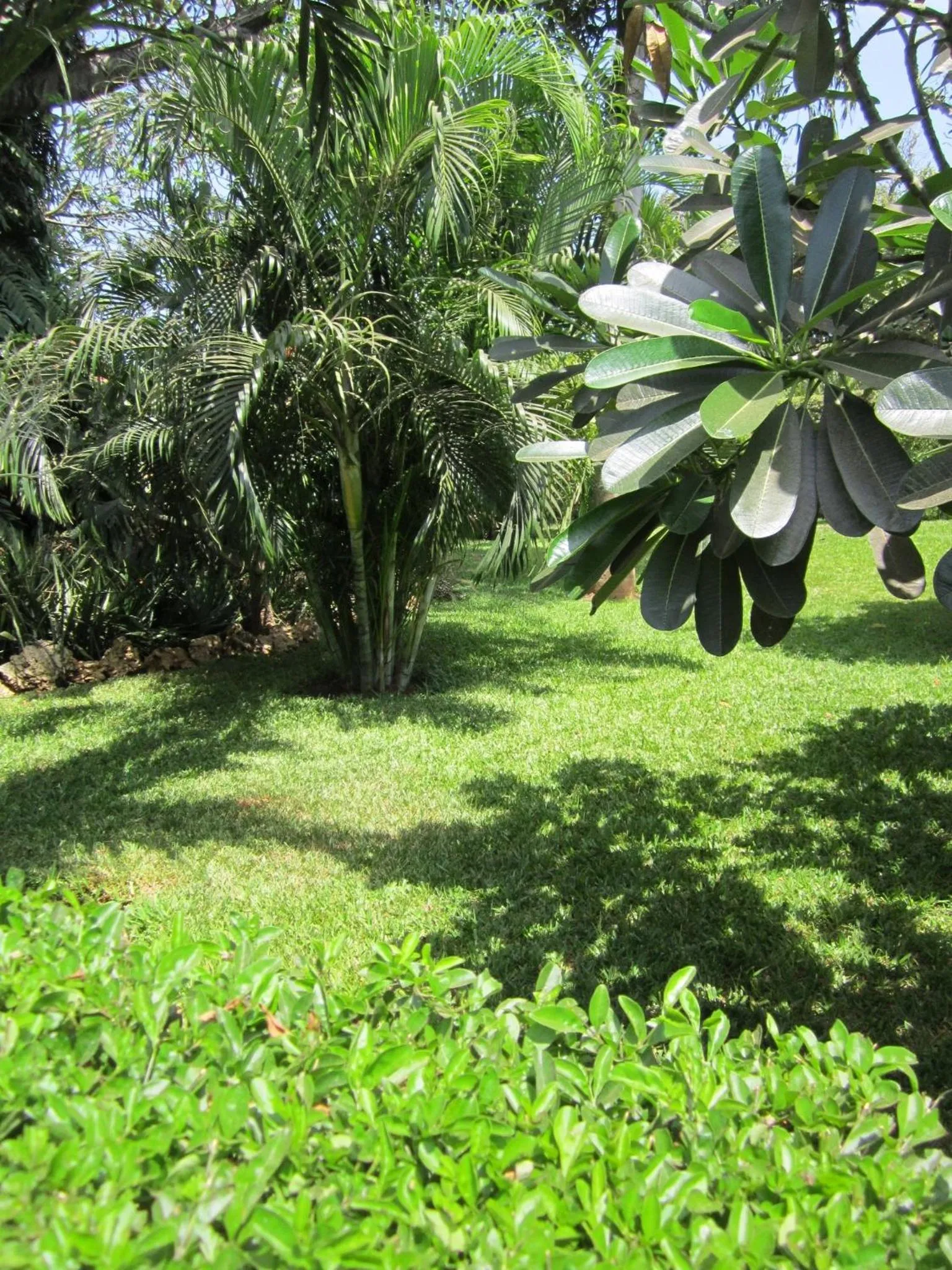 Garden in JoysVilla Family Holiday Home