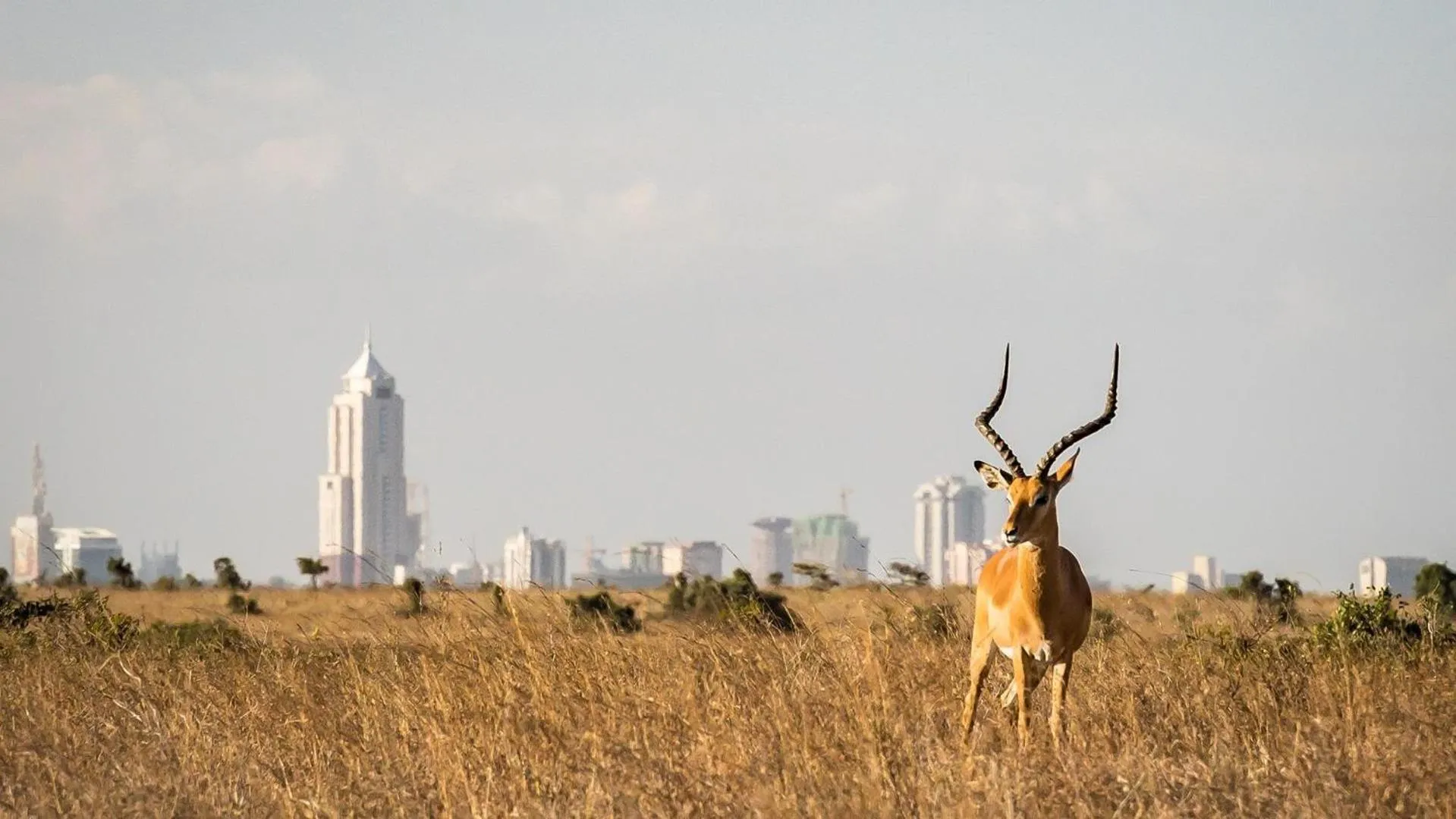 On site in Villa Rosa Kempinski