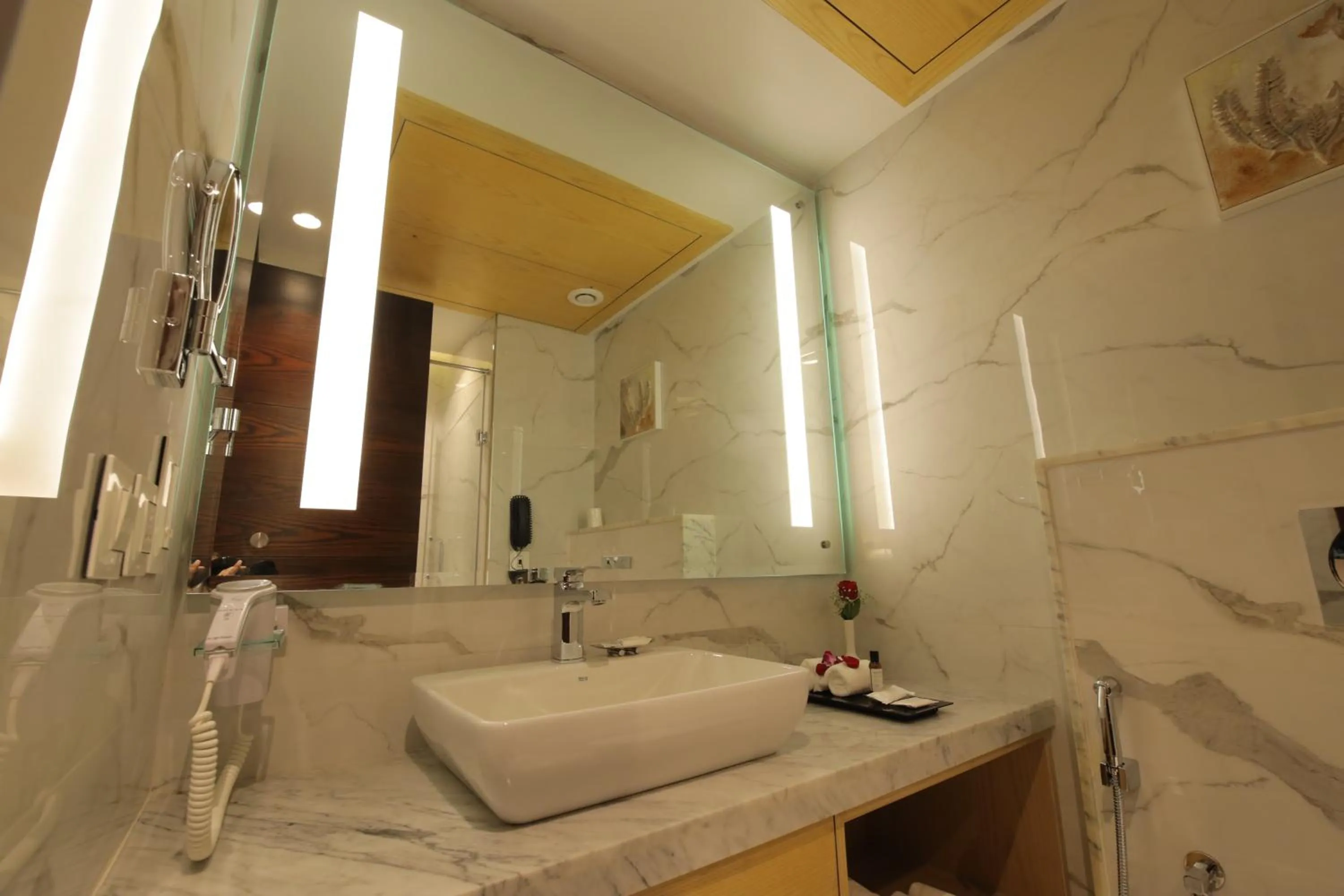 Bathroom in Best Western Darbar