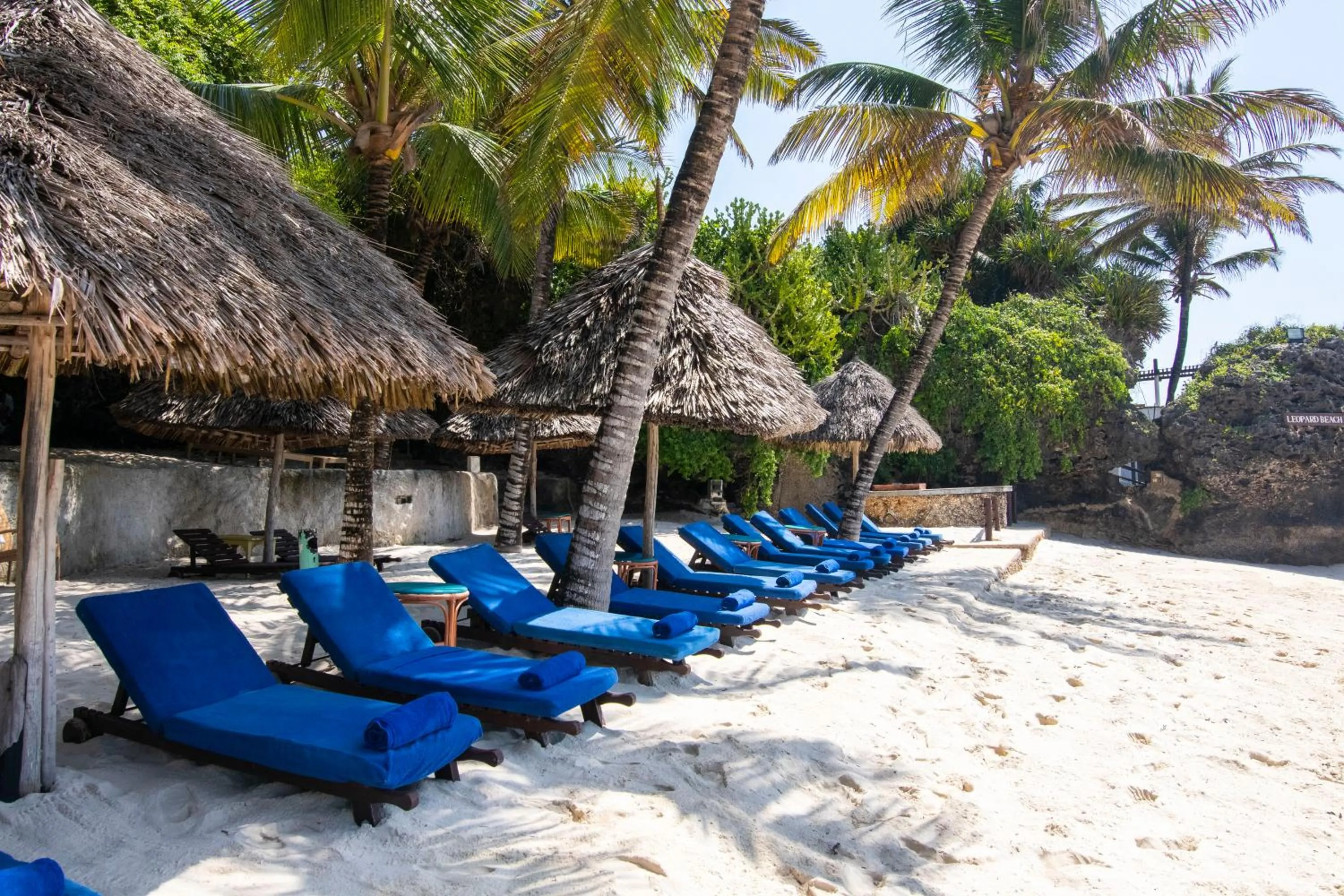 Beach in Leopard Beach Resort and Spa