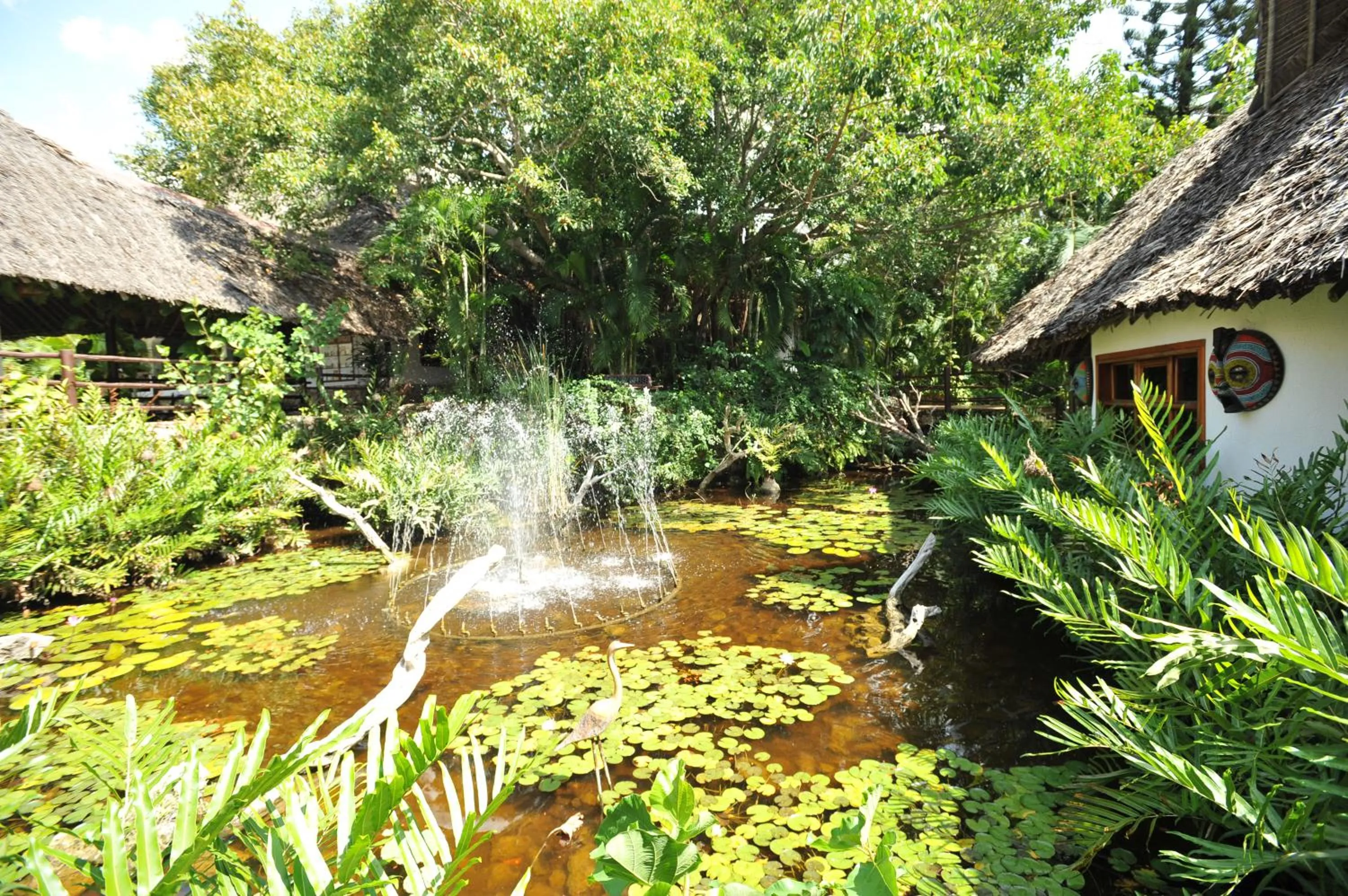 Garden in Leopard Beach Resort and Spa