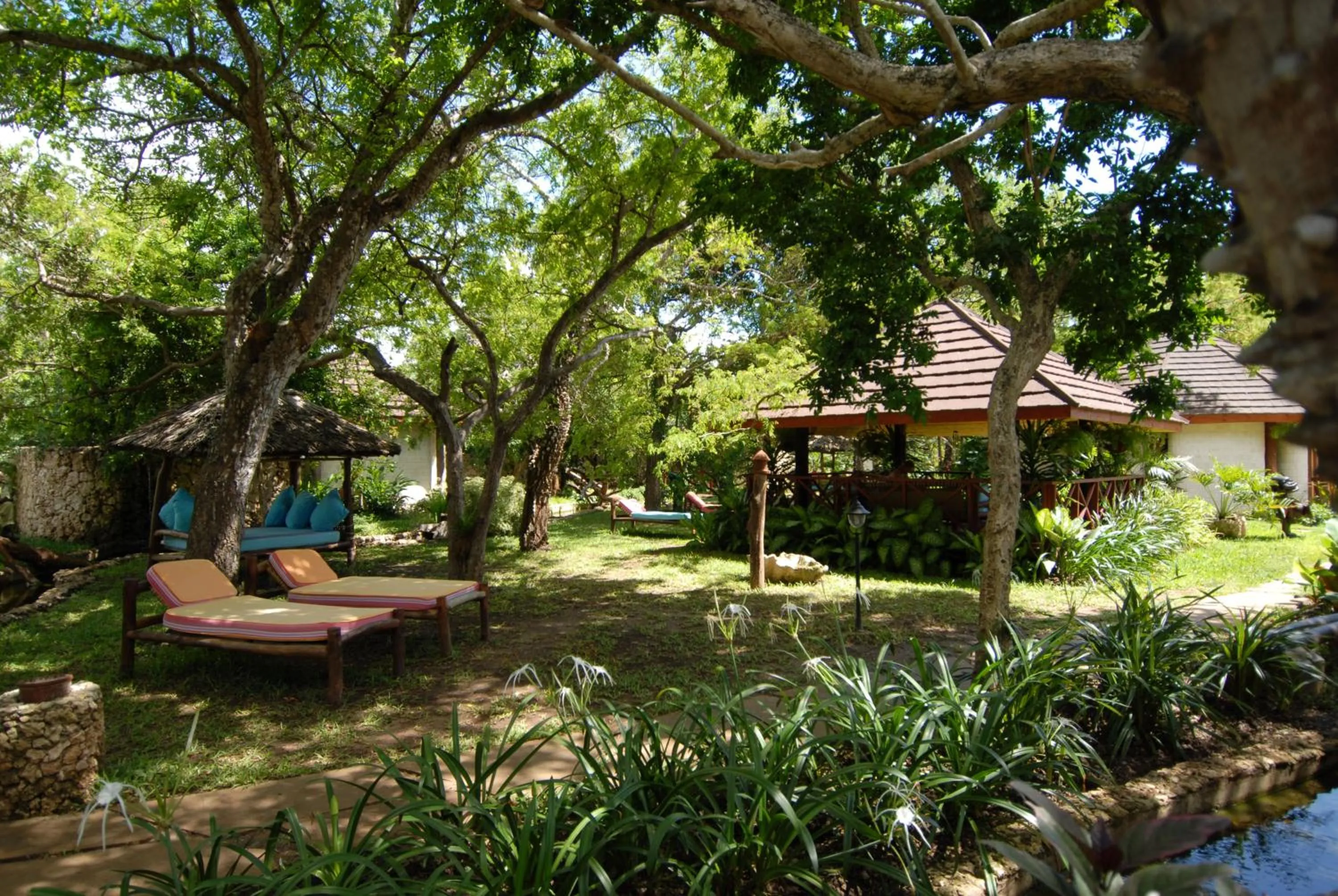 Garden in Leopard Beach Resort and Spa