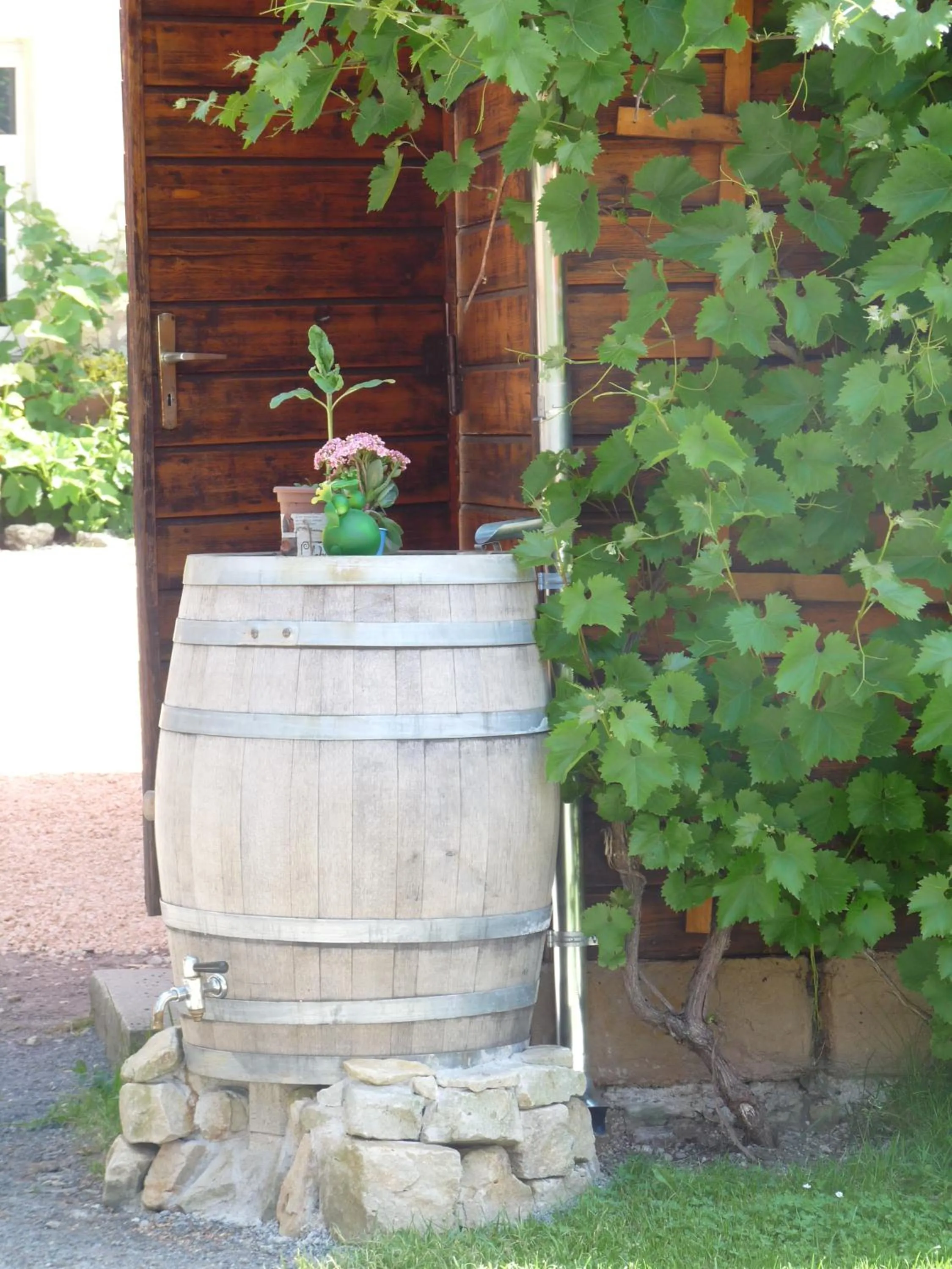 Garden in Hotel zur Kanone