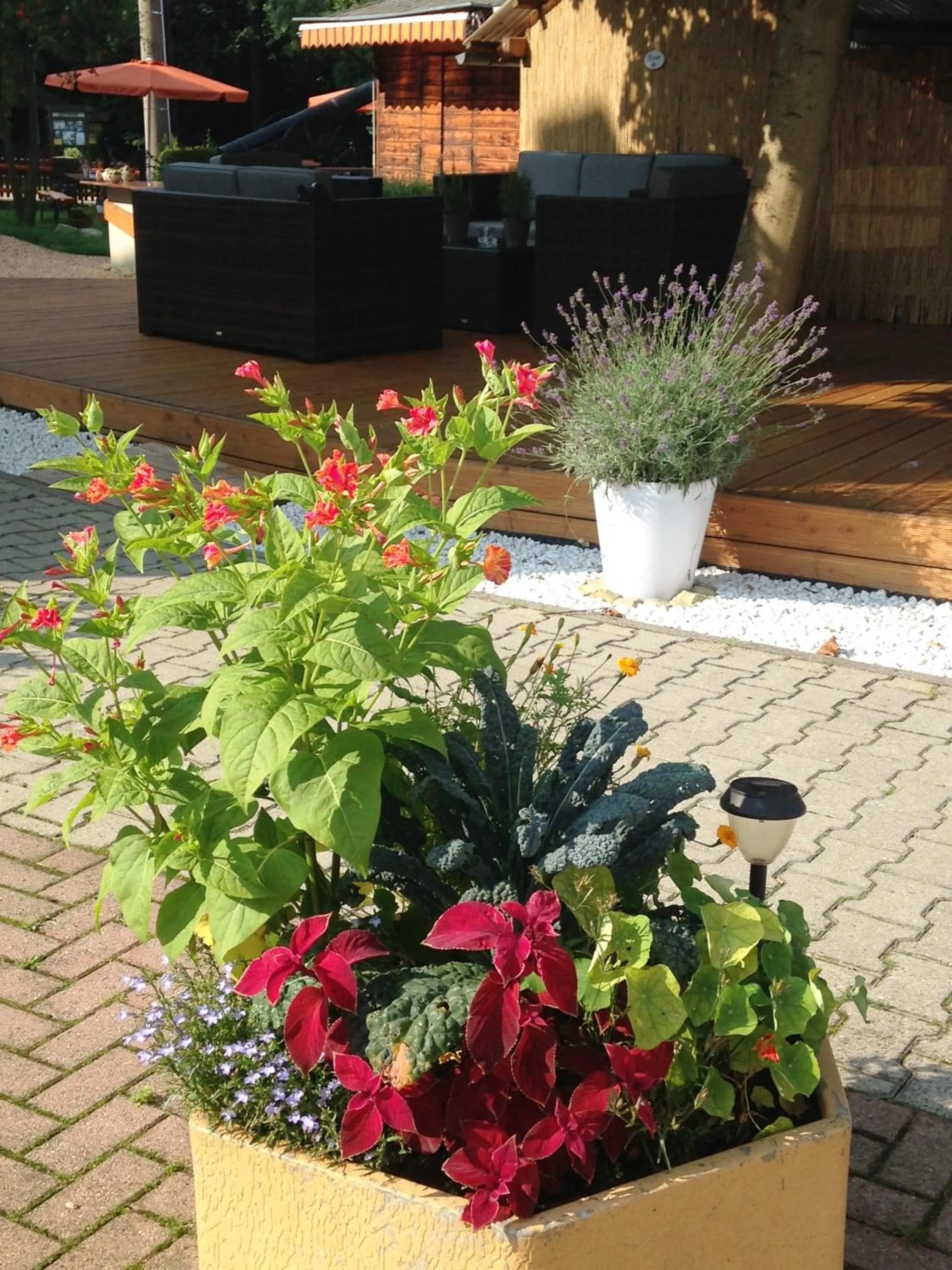 Balcony/Terrace in Hotel zur Kanone