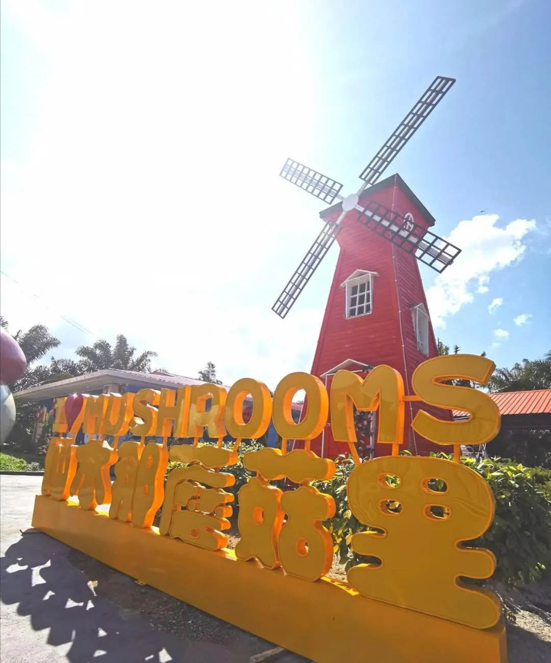 Property building in MUSHROOMS INN