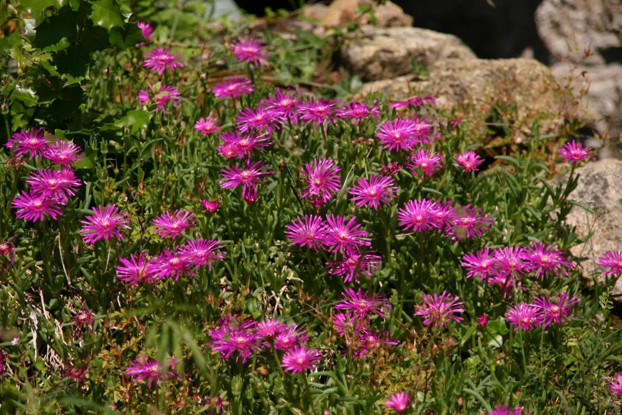 Natural landscape in Mas de la Giralde - B&B