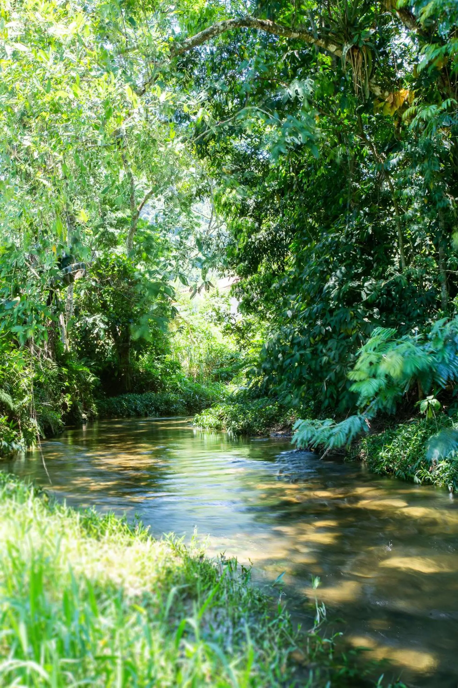 Natural landscape in Pousada Quatro Estações Paraty