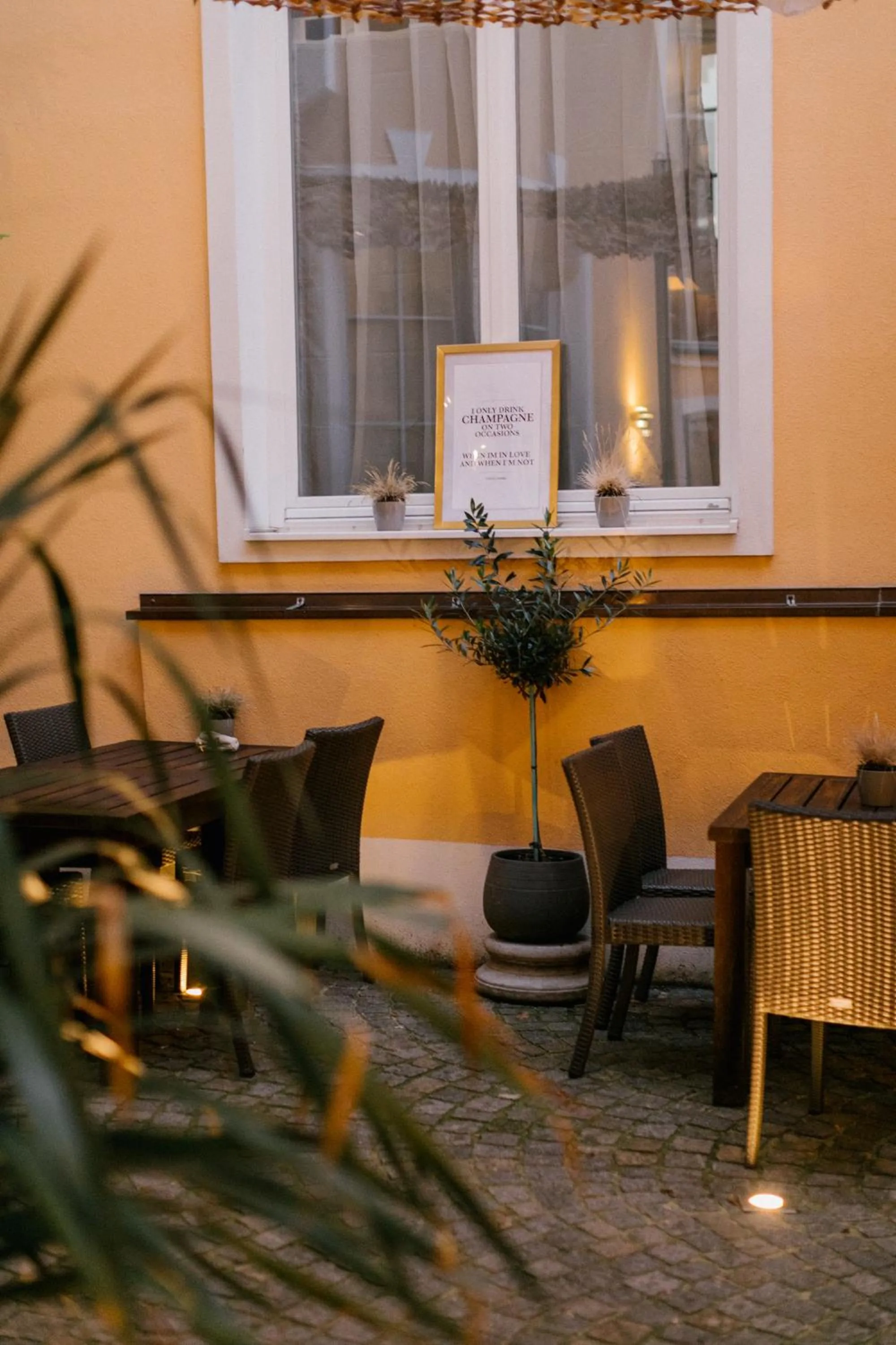 Patio in Hotel Fletzinger
