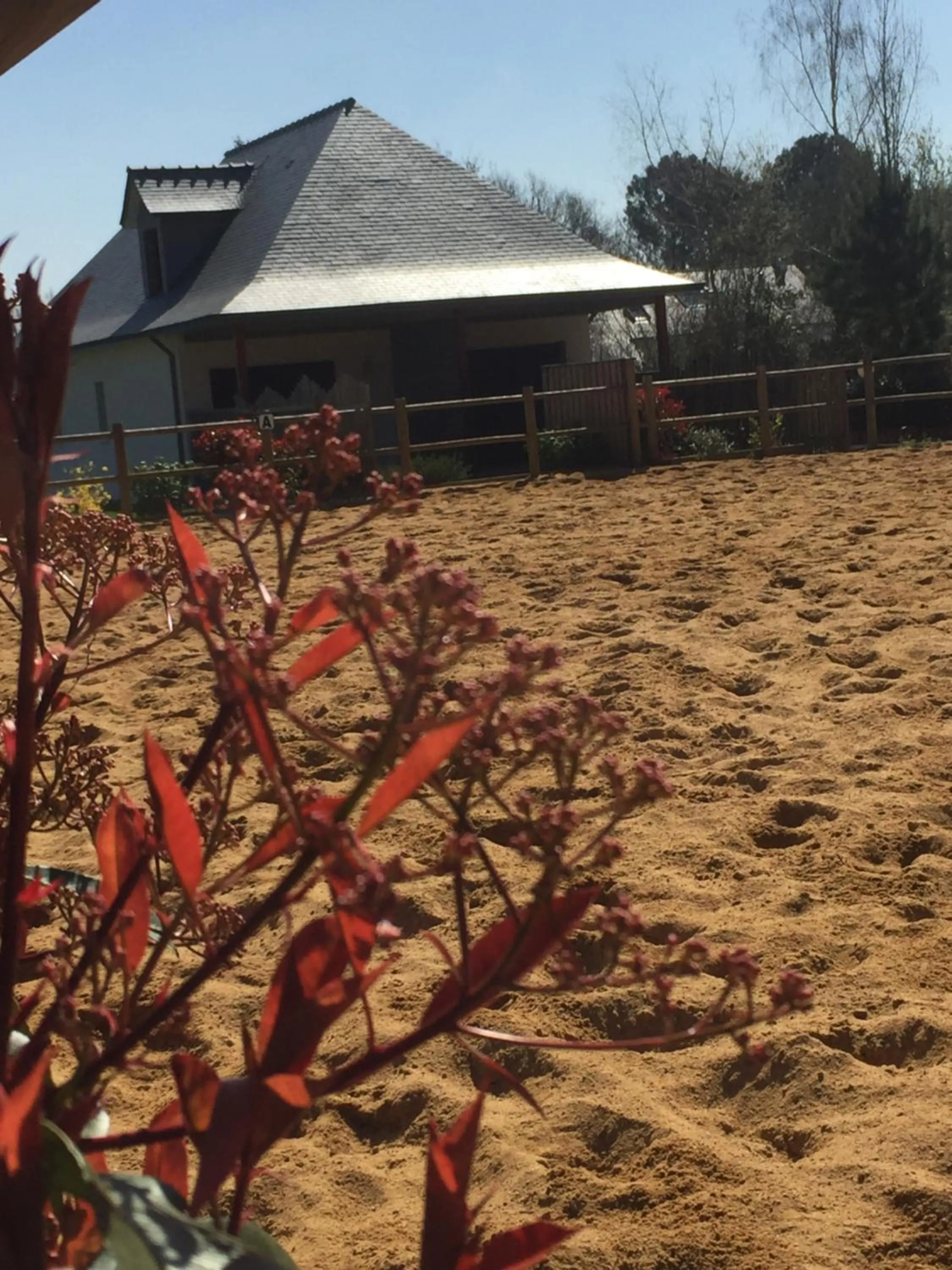 Garden in L'échappée Saline