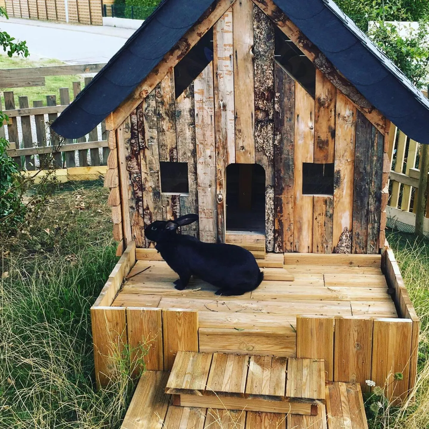 Pets in L'échappée Saline