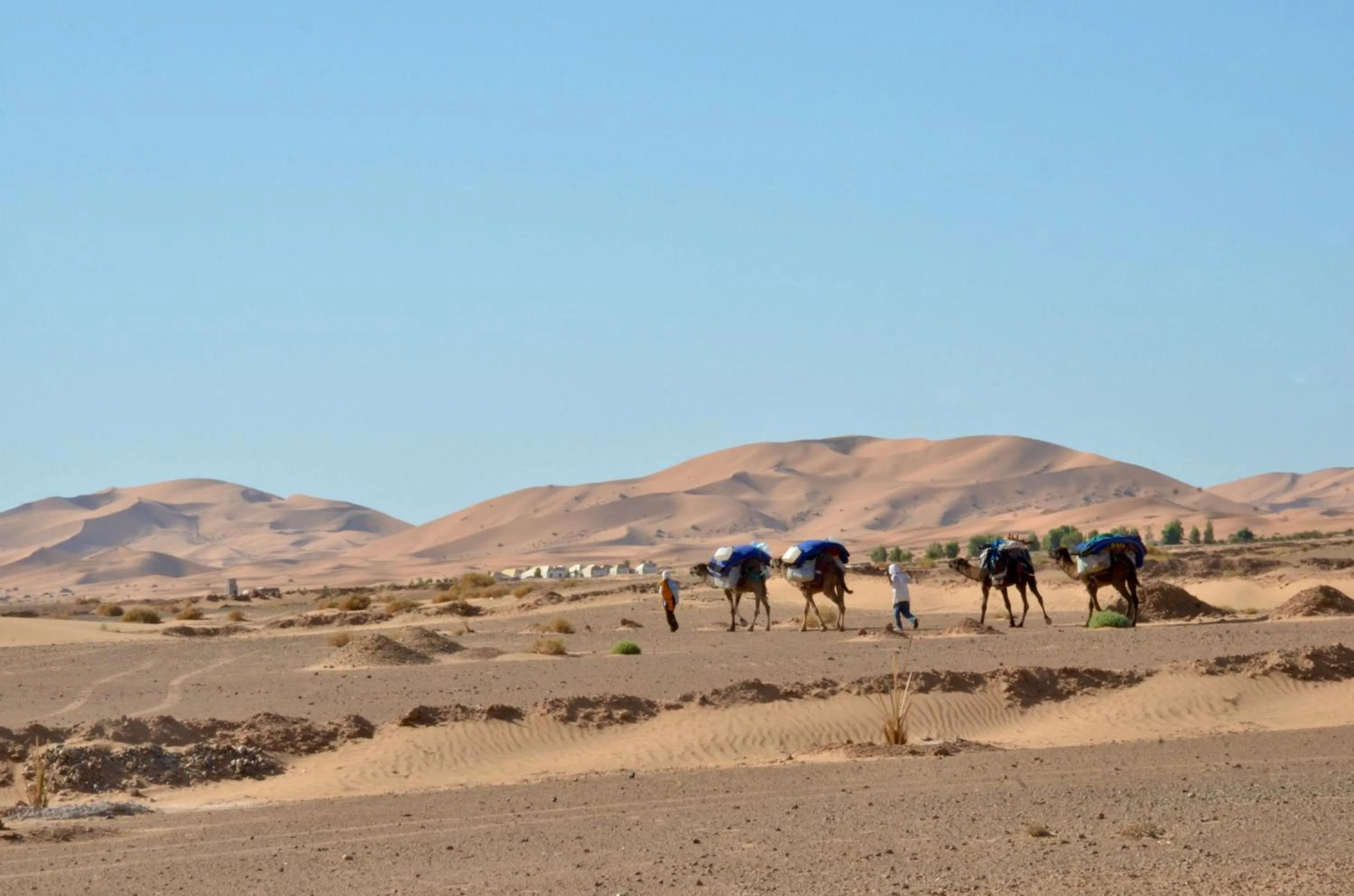 Natural landscape in Jardin Kotori Luxury Camp