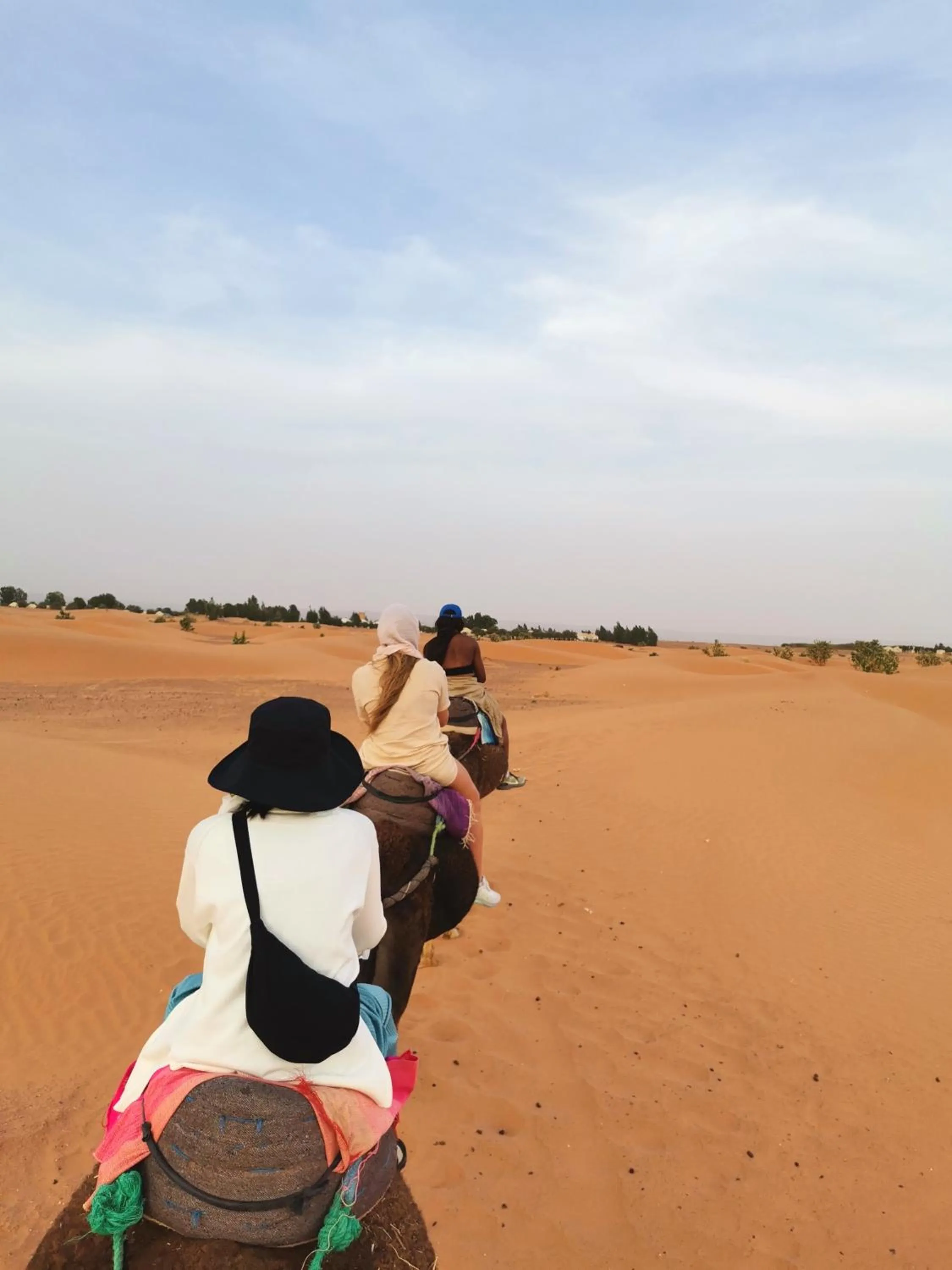 Natural landscape in Jardin Kotori Luxury Camp