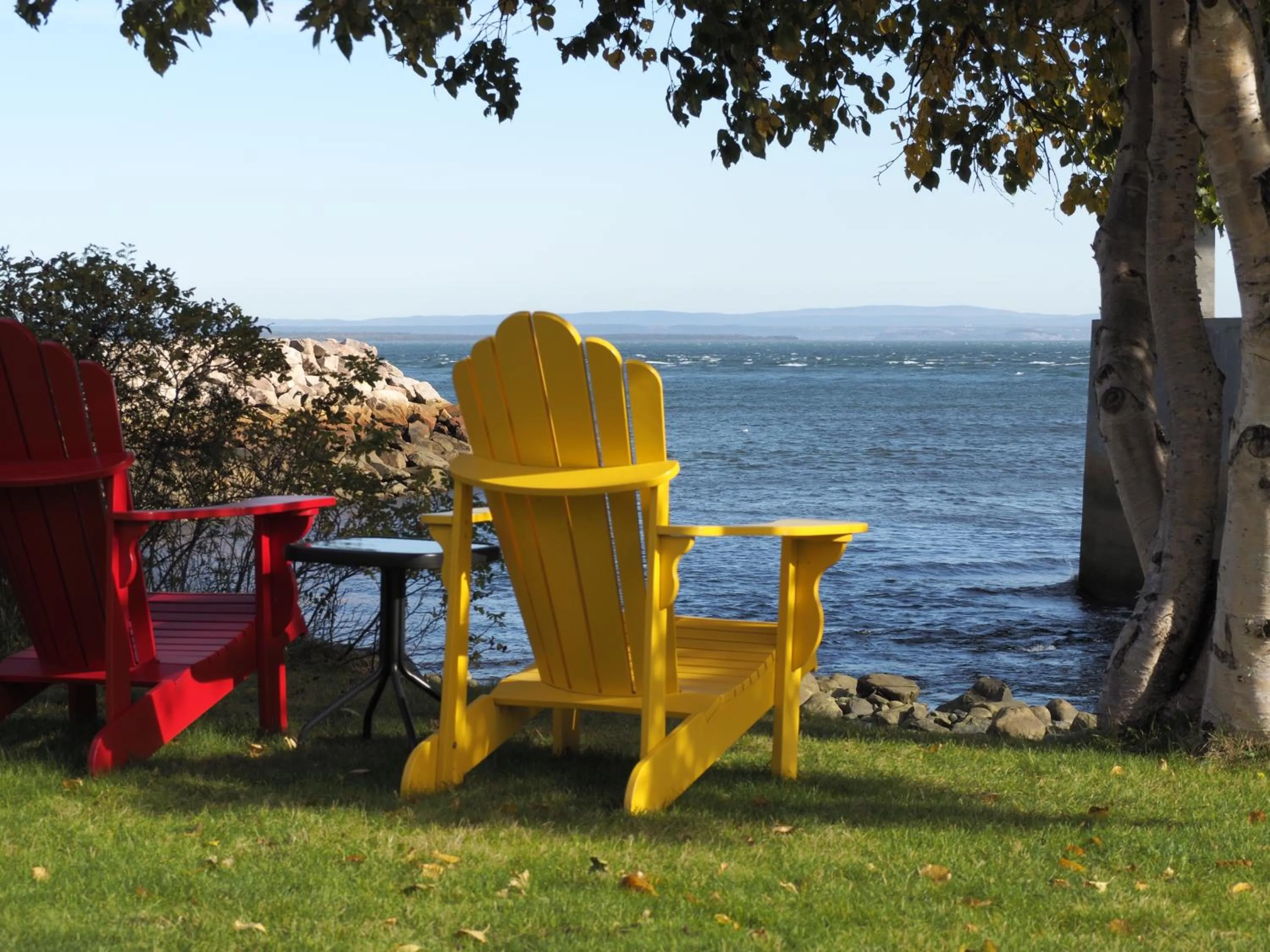 View (from property/room) in La Gentilhommière