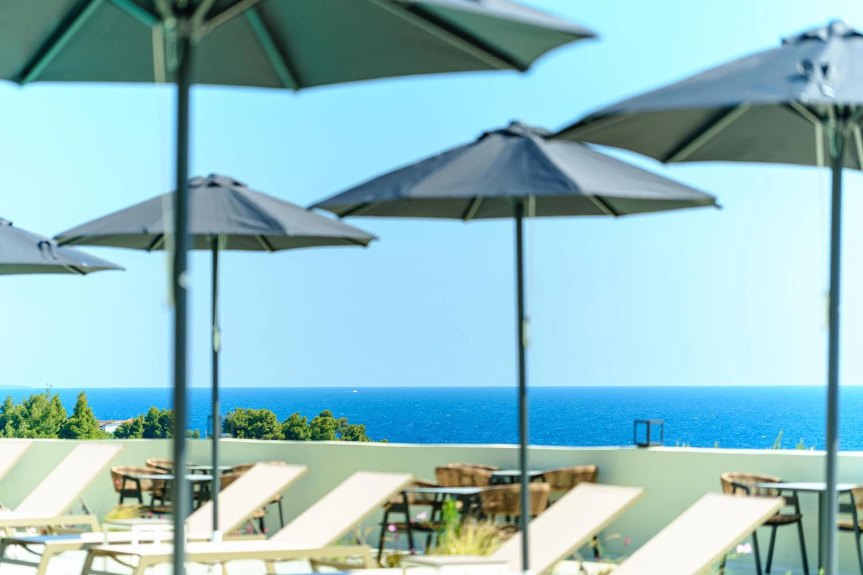 Pool view in Casa Panorama Adults Only