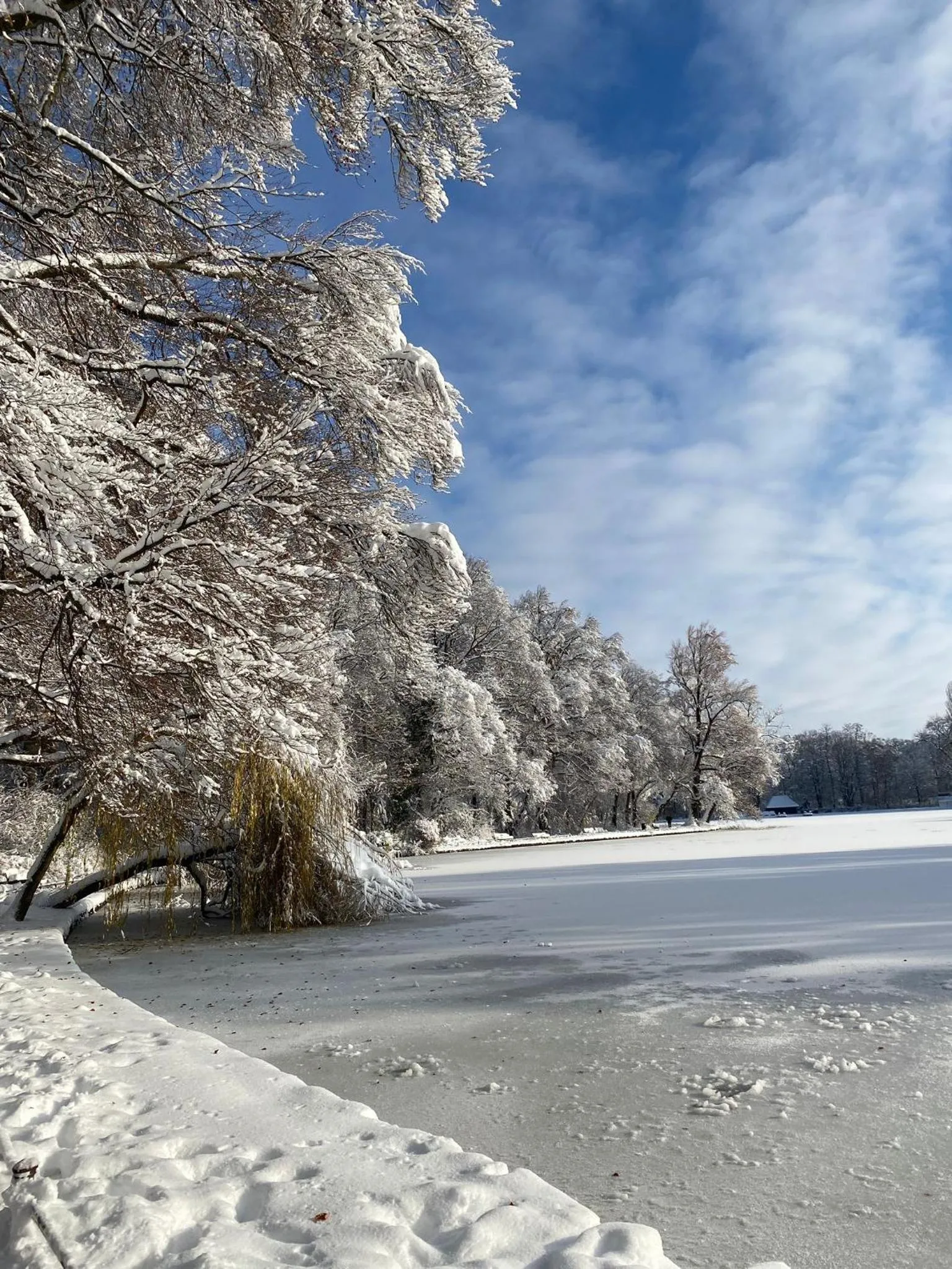 Natural landscape in Hotel Occam