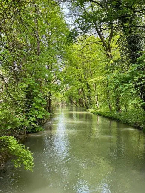 Area and facilities in Hotel Occam