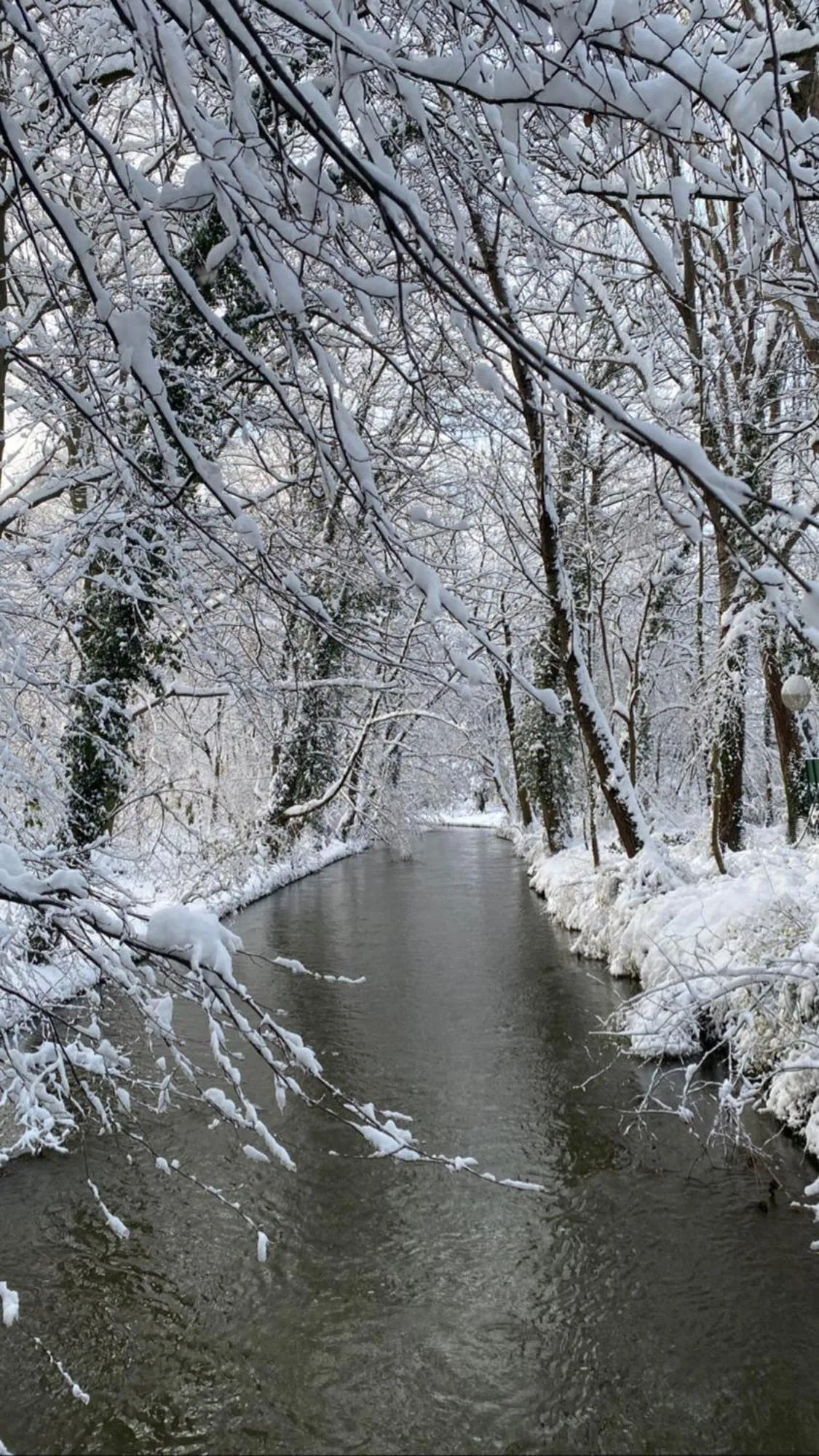 Natural landscape in Hotel Occam