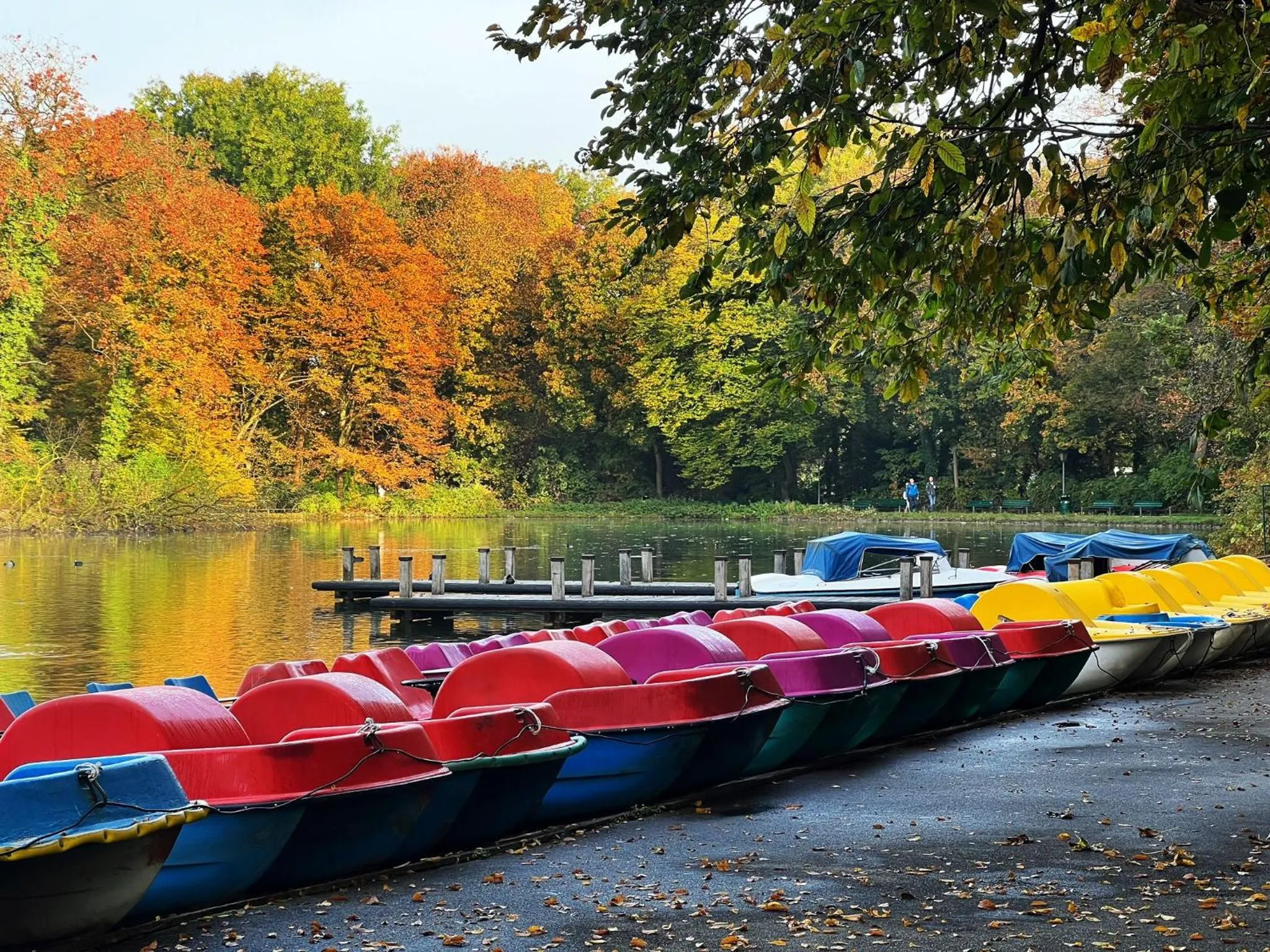 Other in Hotel Occam